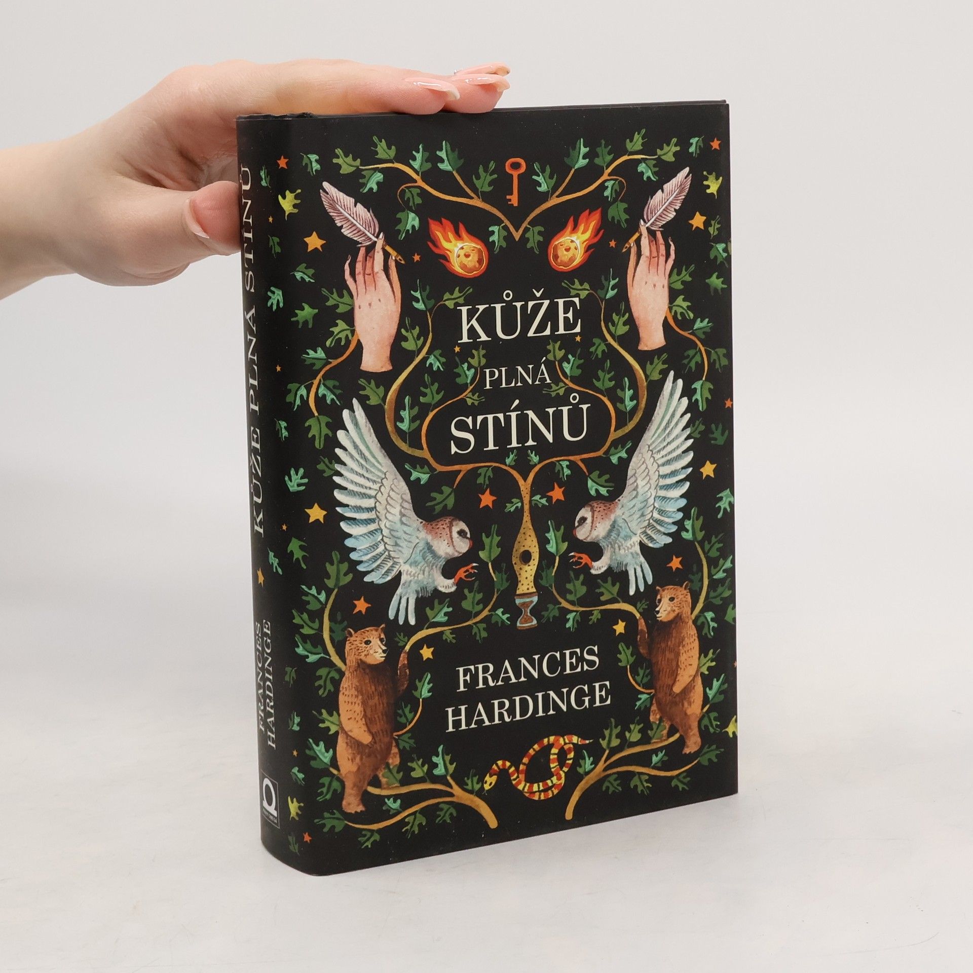 Frances Hardinge Kůže plná stínů