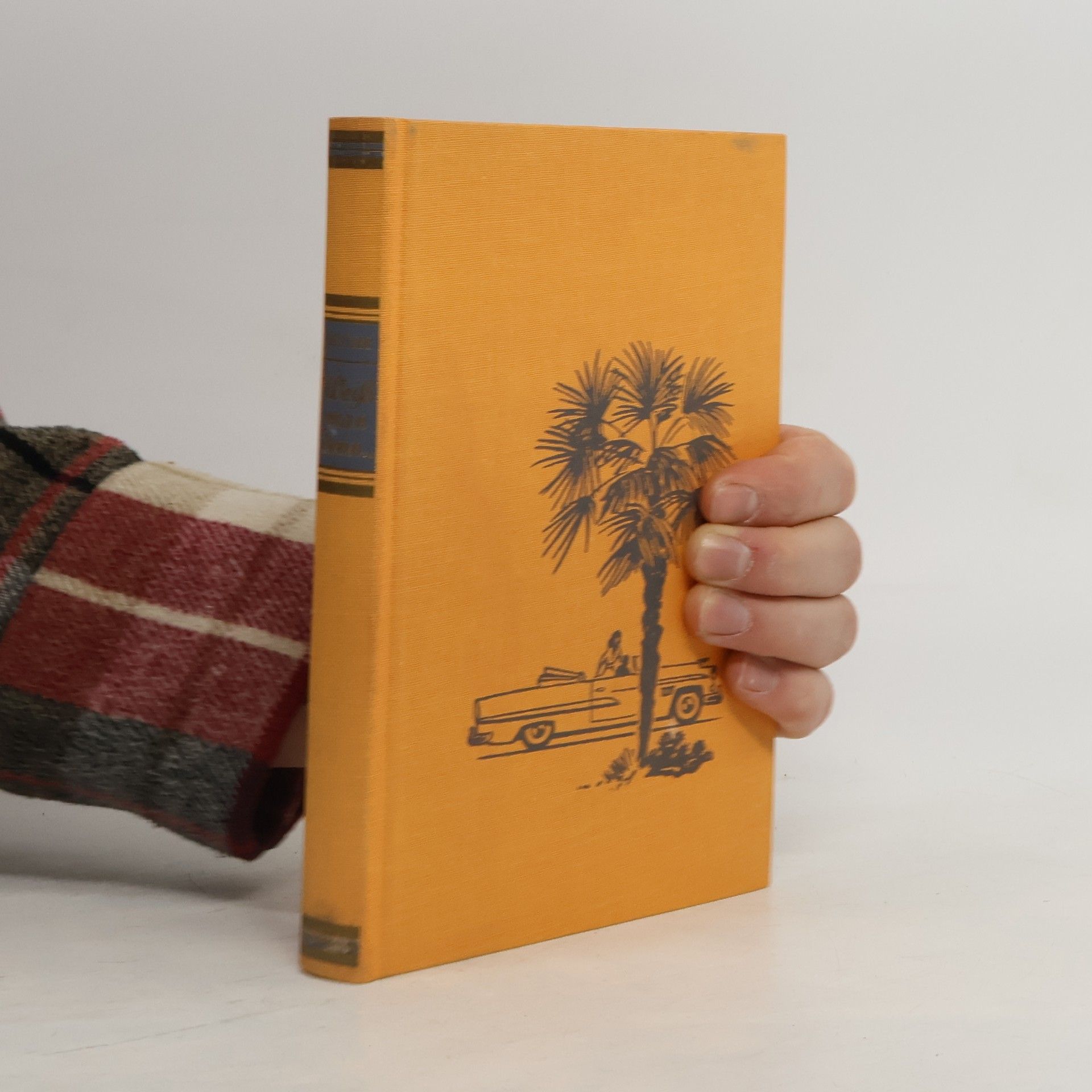 Horst Wolfram Geißler Weiss man denn wohin man fährt?