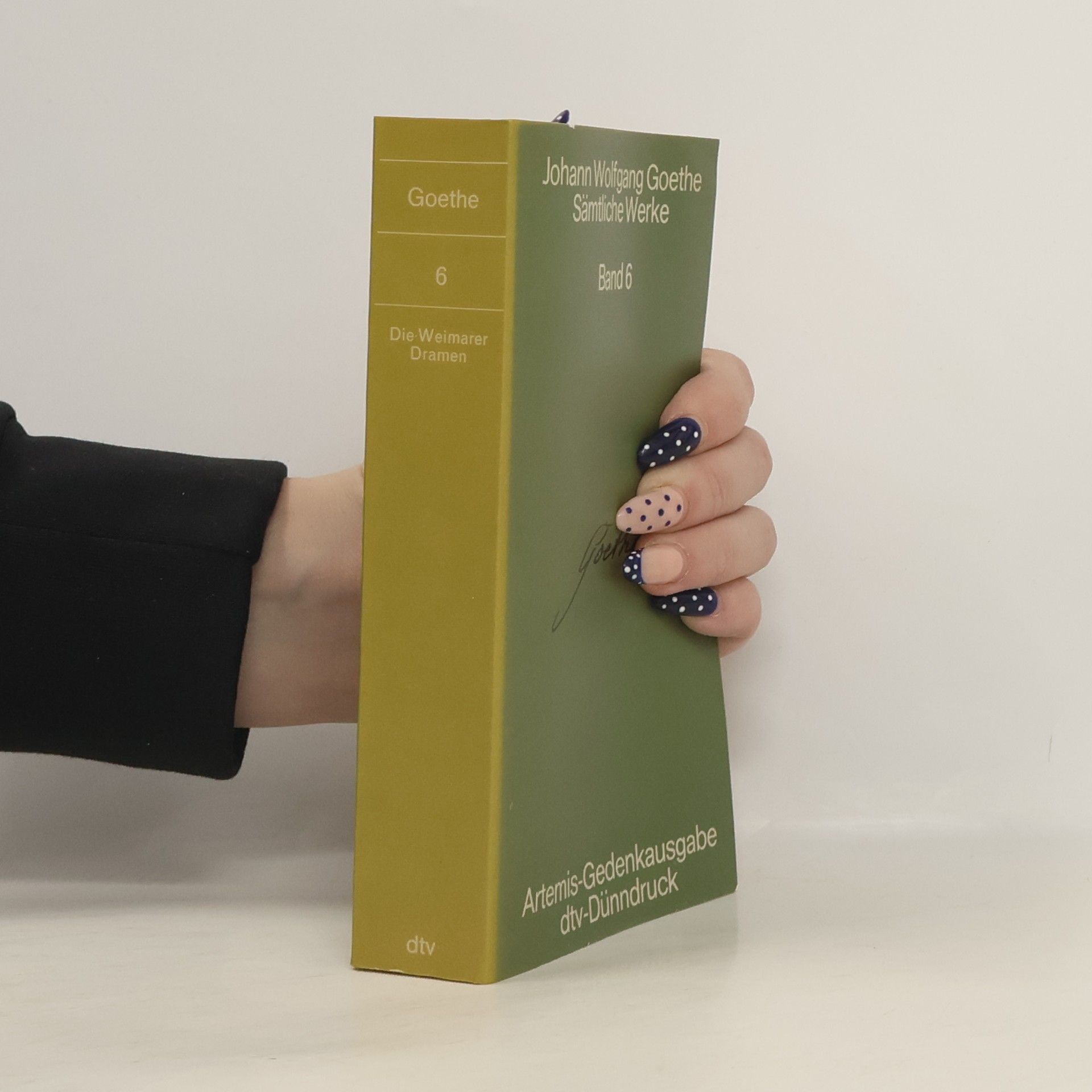 Johann Wolfgang von Goethe Sämtliche Werke 6