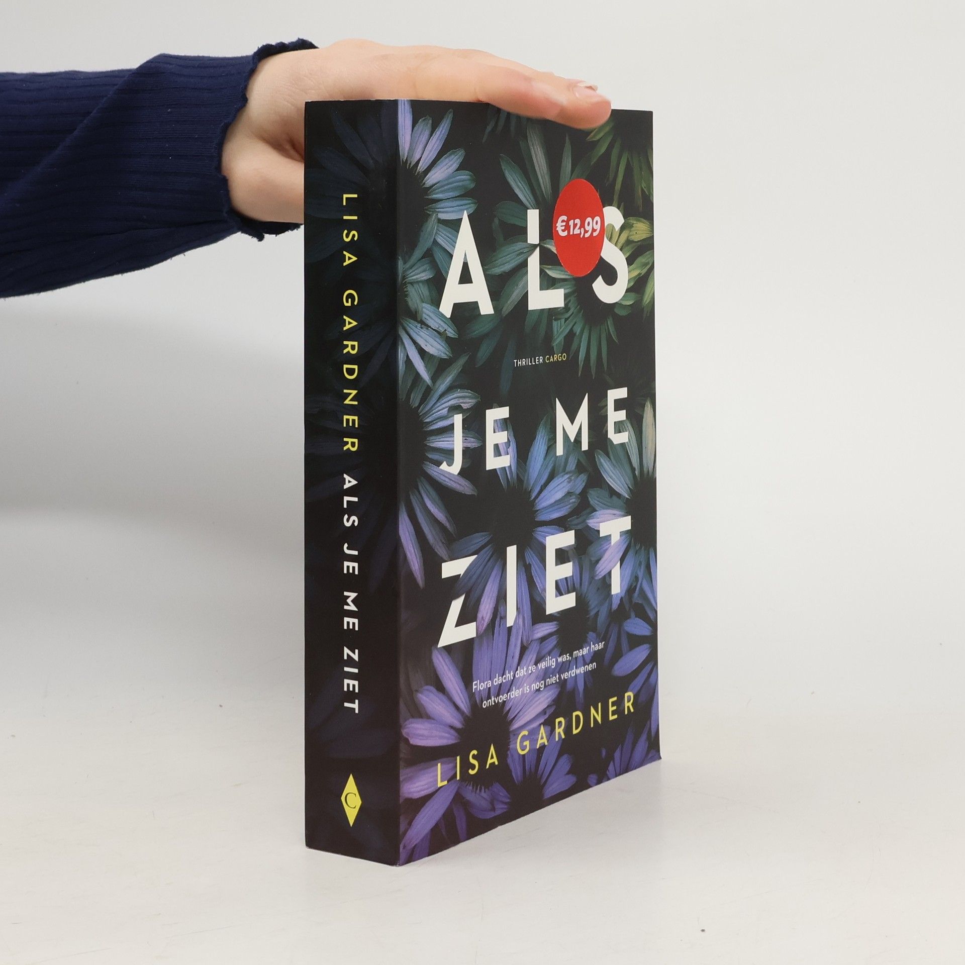 D.D. Warren - 9: Als je me ziet