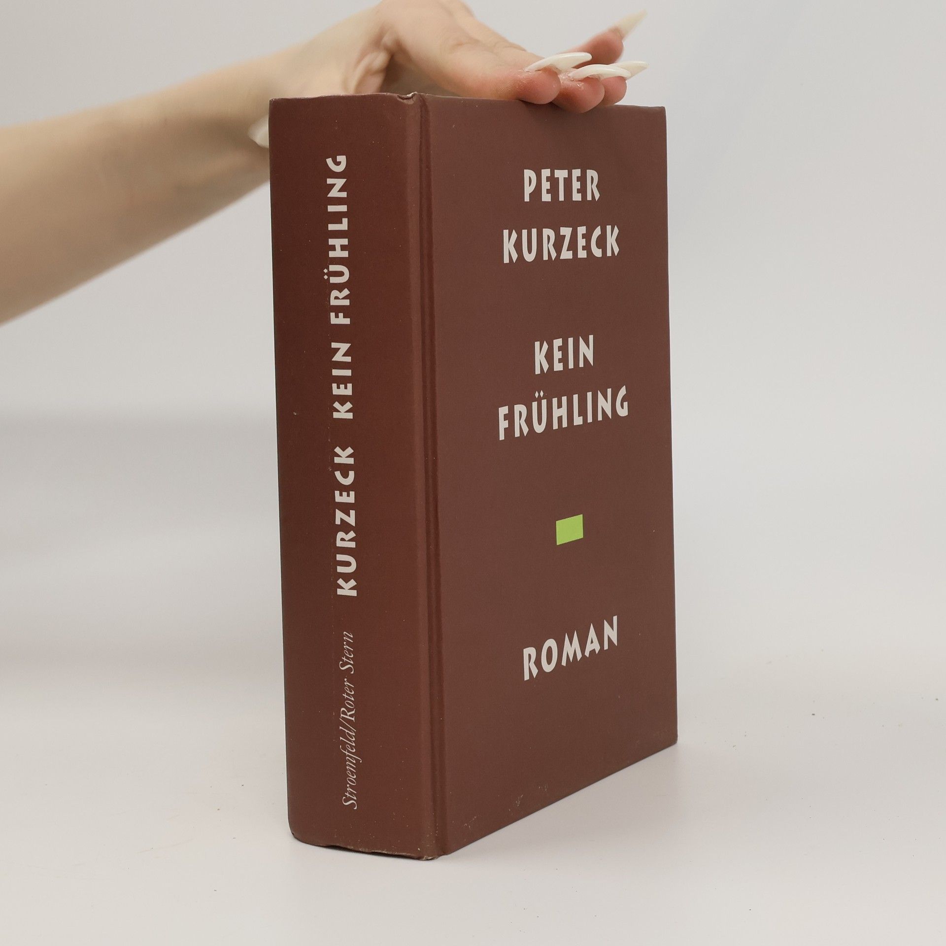 Peter Kurzeck Kein Frühling