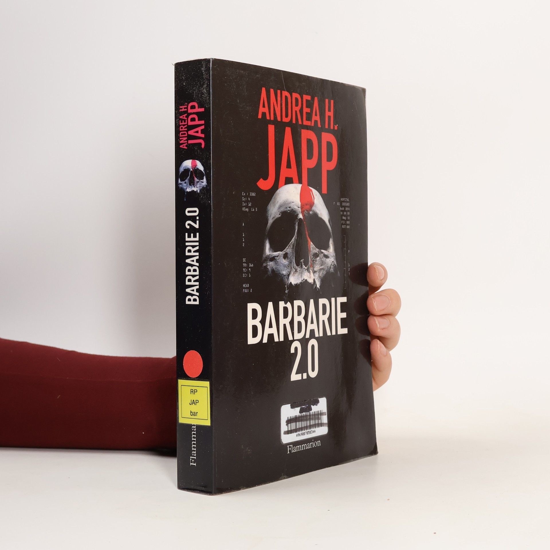 Andrea H. Japp Barbarie 2.0