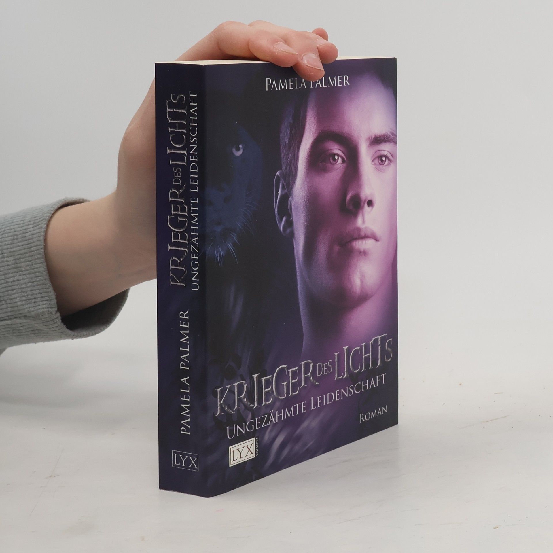 Pamela Palmer Krieger des Lichts 3
