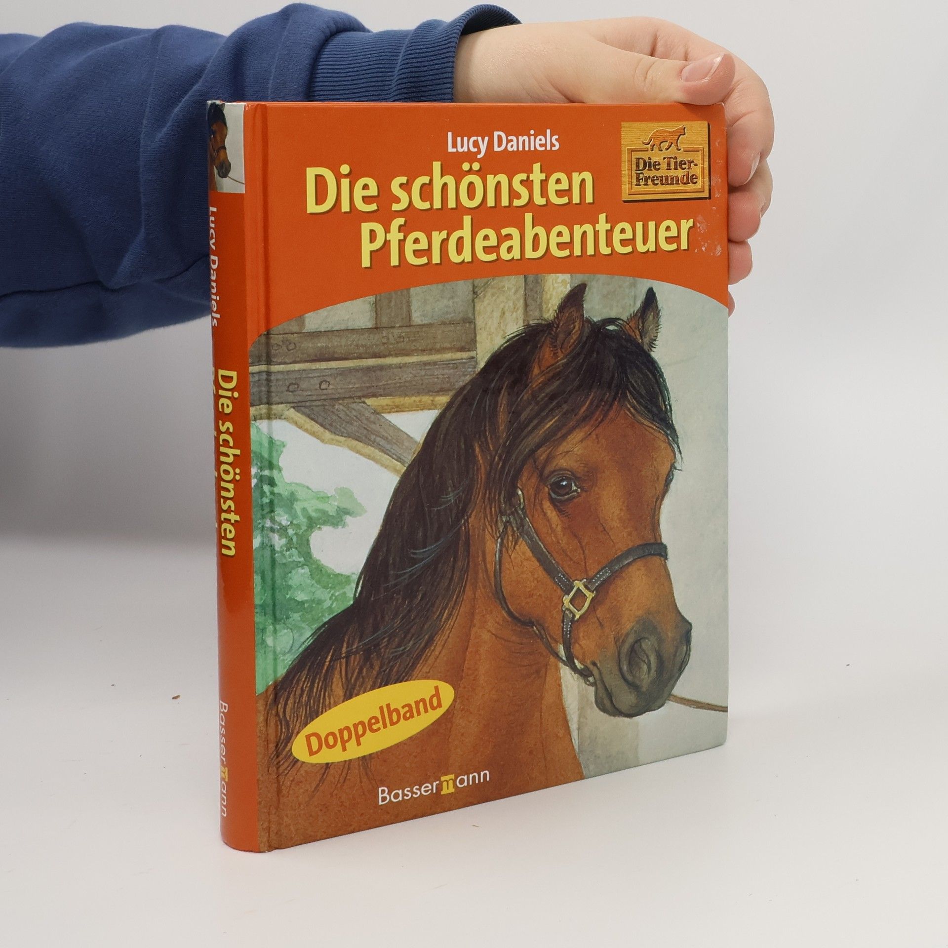 Lucy Daniels Die schönsten Pferdeabenteuer