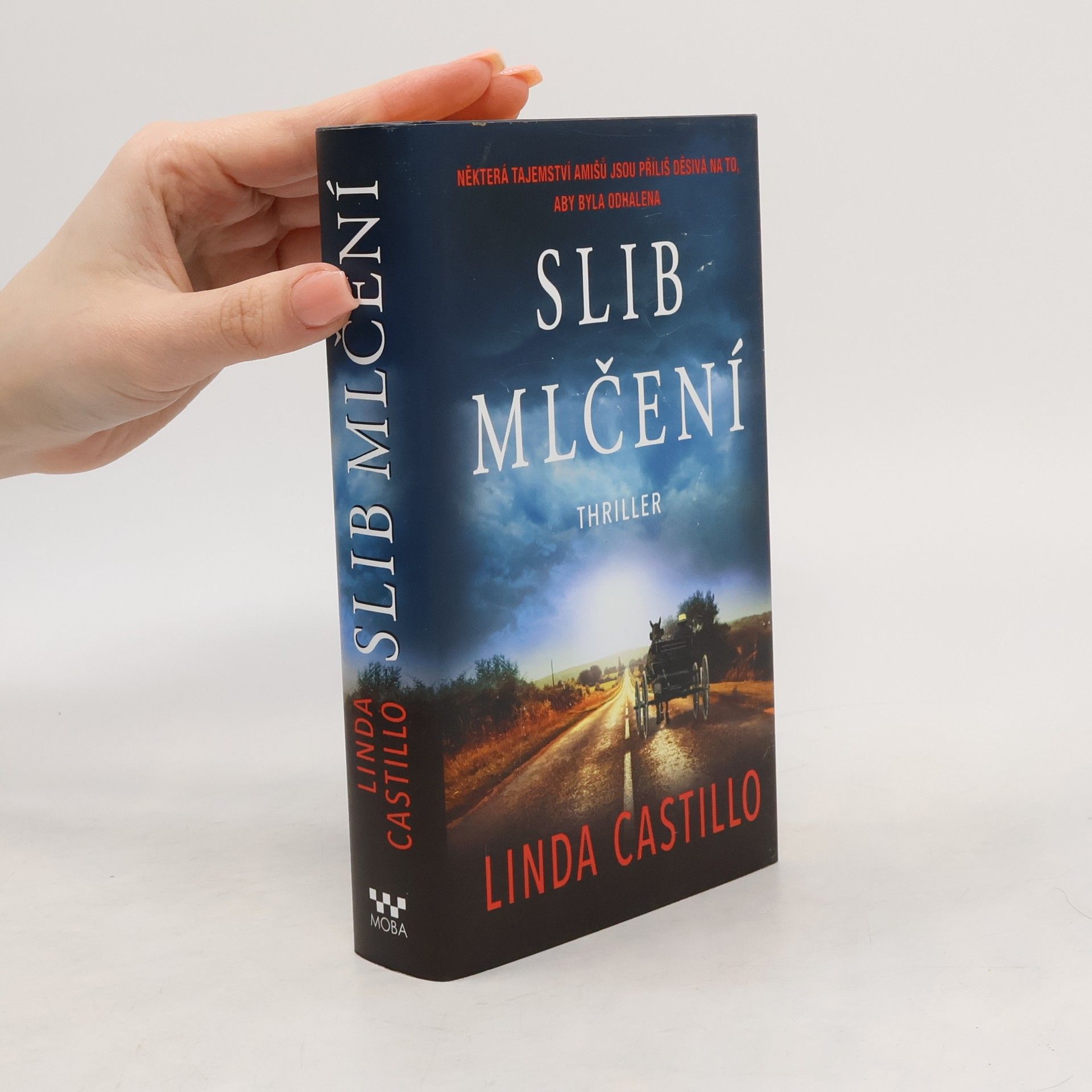 Linda Castillo Slib mlčení