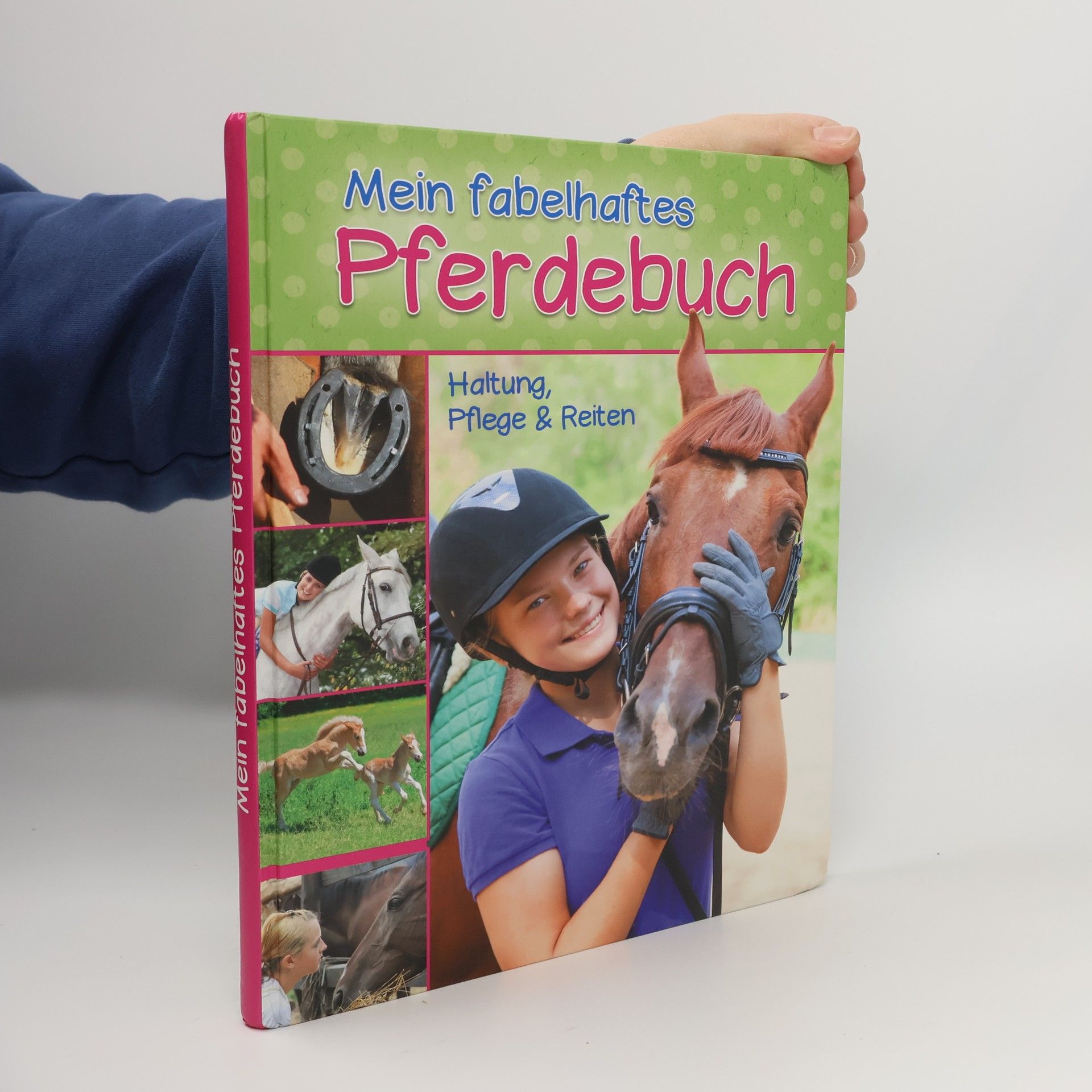 Autorenkollektiv Mein fabelhaftes Pferdebuch