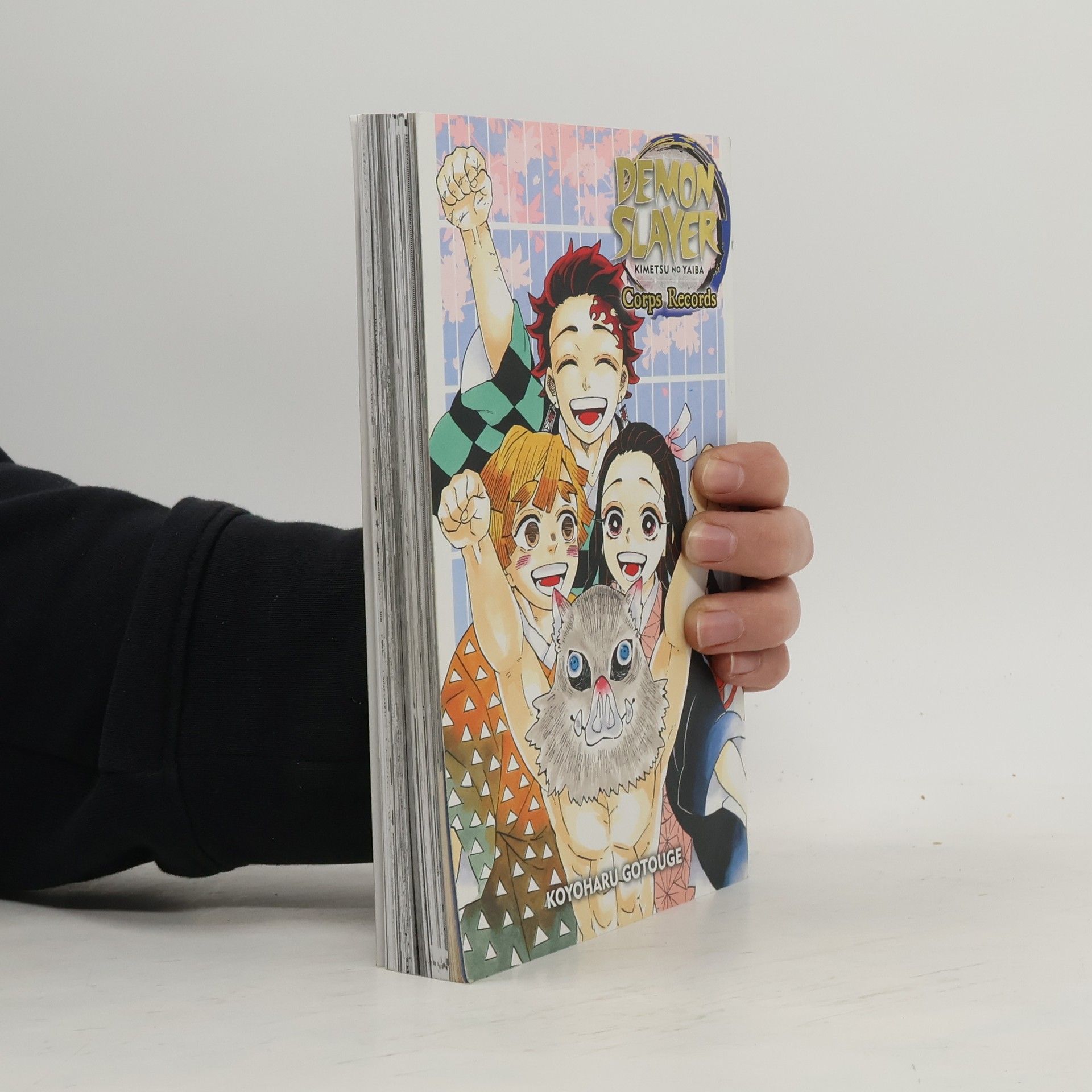 Koyoharu Gotoge Demon Slayer: Kimetsu no Yaiba-Corps Records