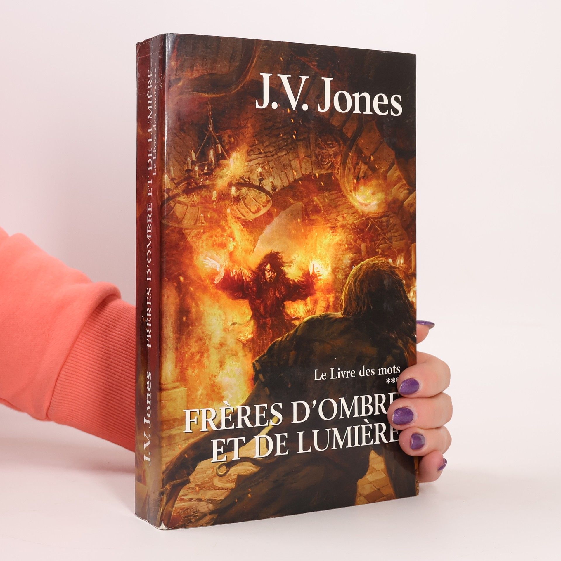 Le Livre des mots: Frères d'ombre et de lumière