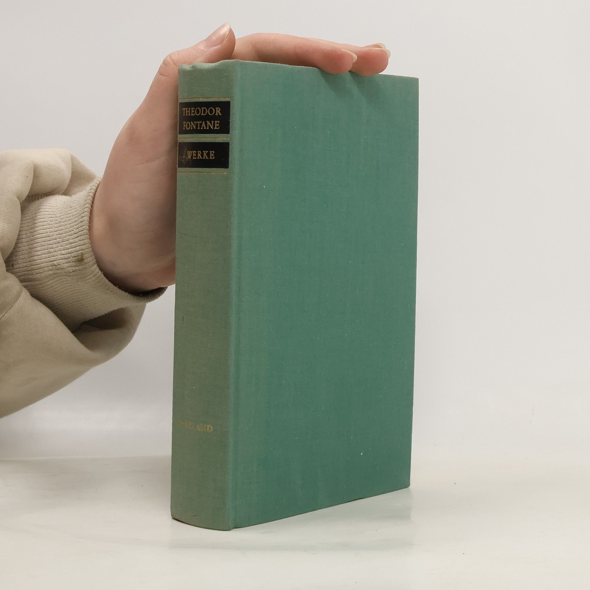 Theodor Fontane Werke 4. Spreeland