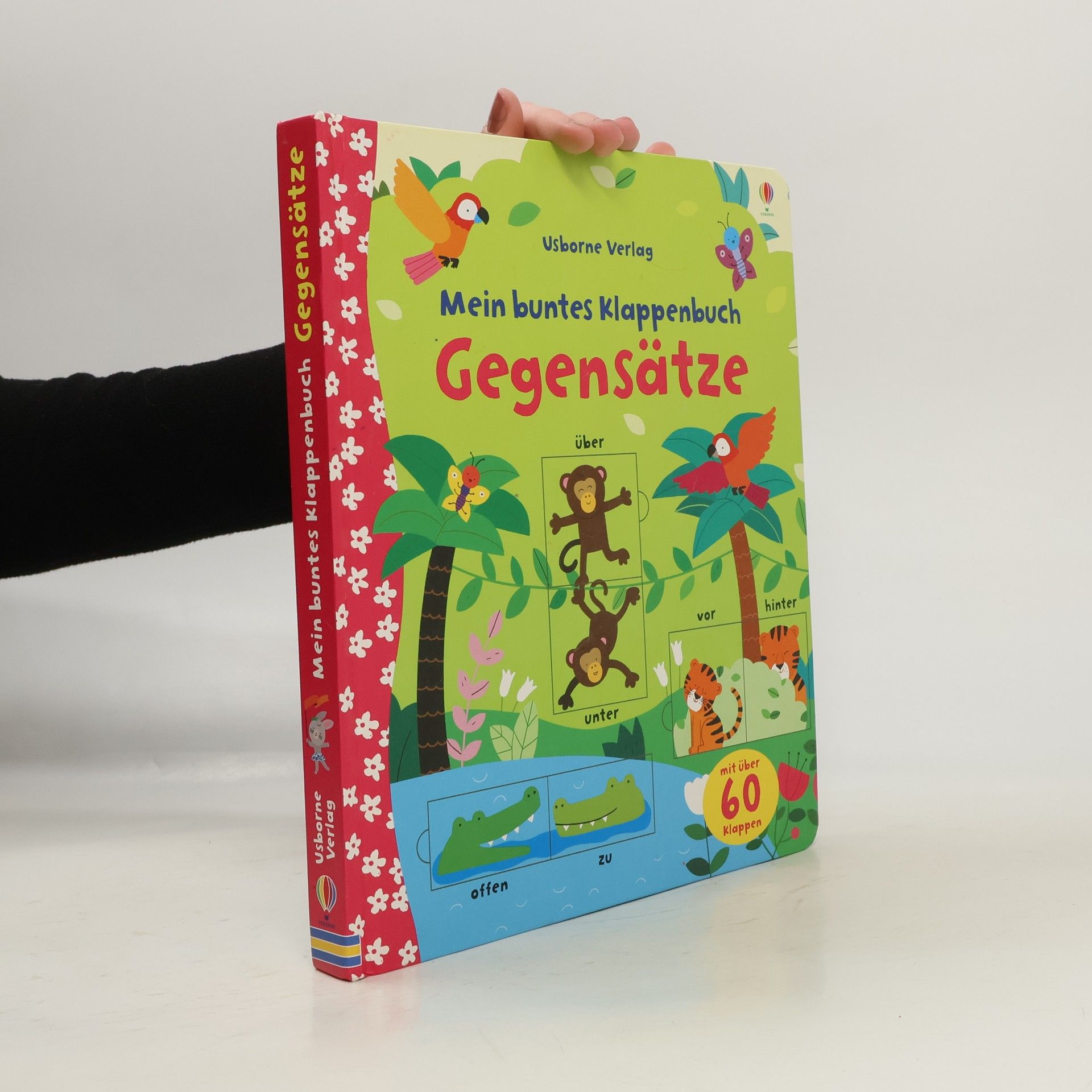 Felicity Brooks Meine bunten Klappenbücher: Mein buntes Klappenbuch