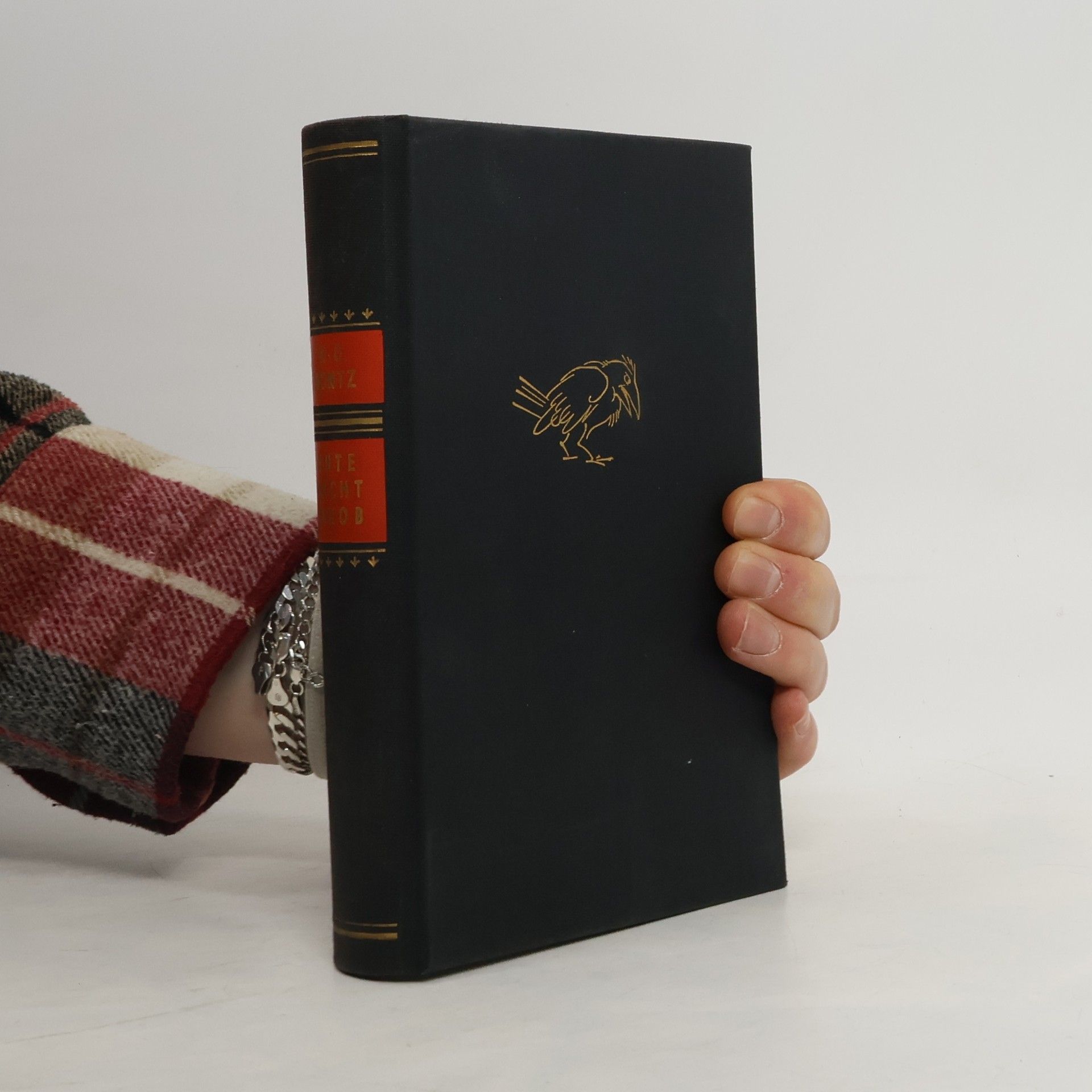 Hans G. Bentz Gute Nacht Jakob