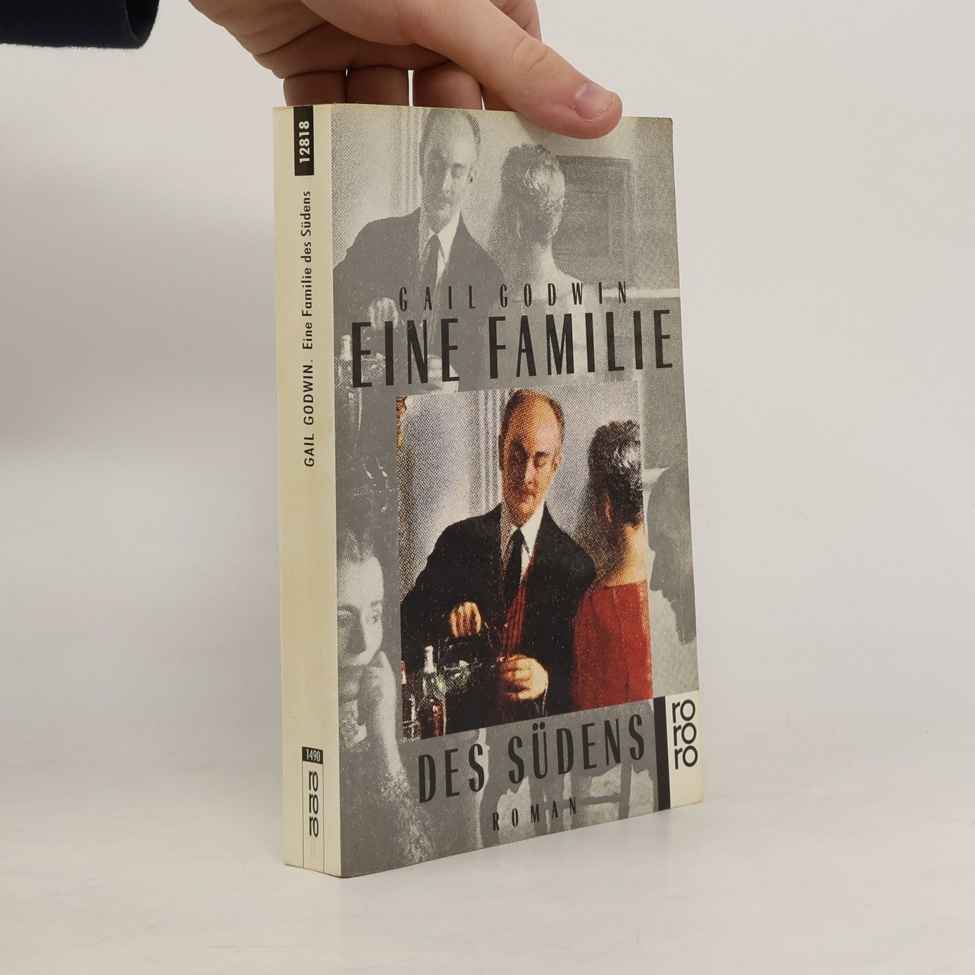 Gail Godwin Eine Familie des Südens