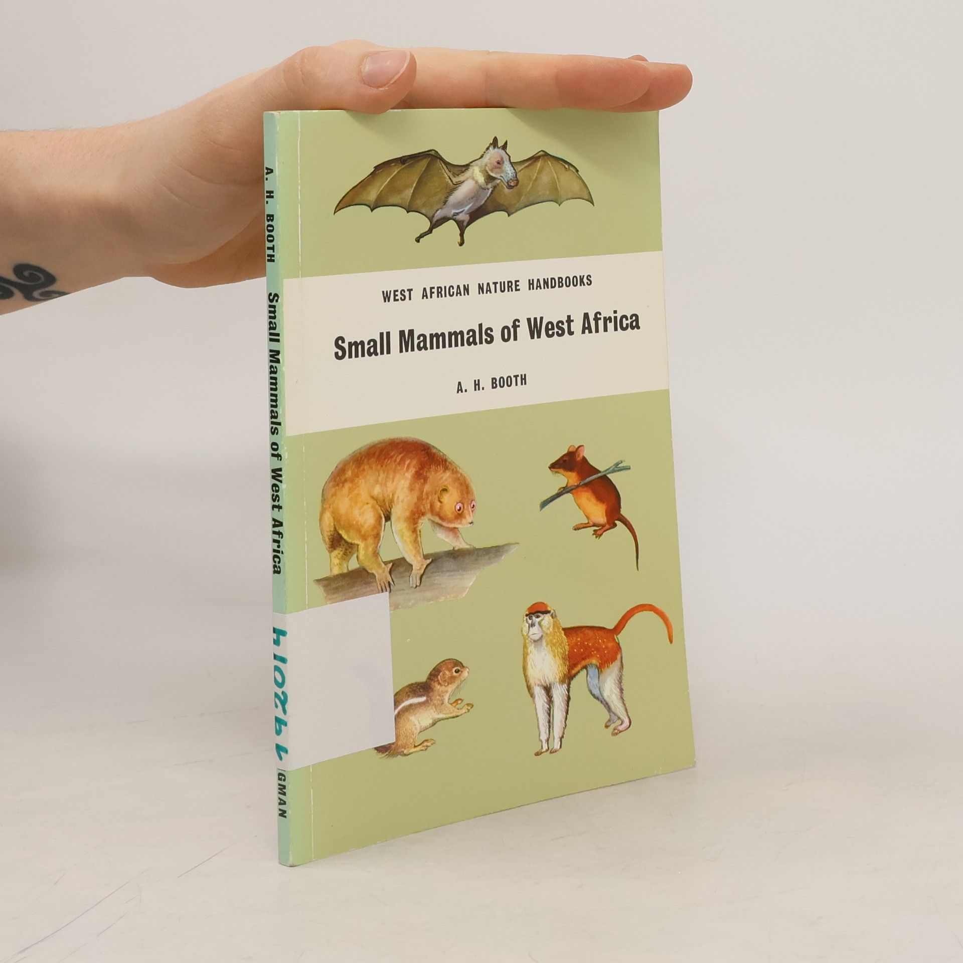 Angus Herdman Booth Small Mammals of West Africa