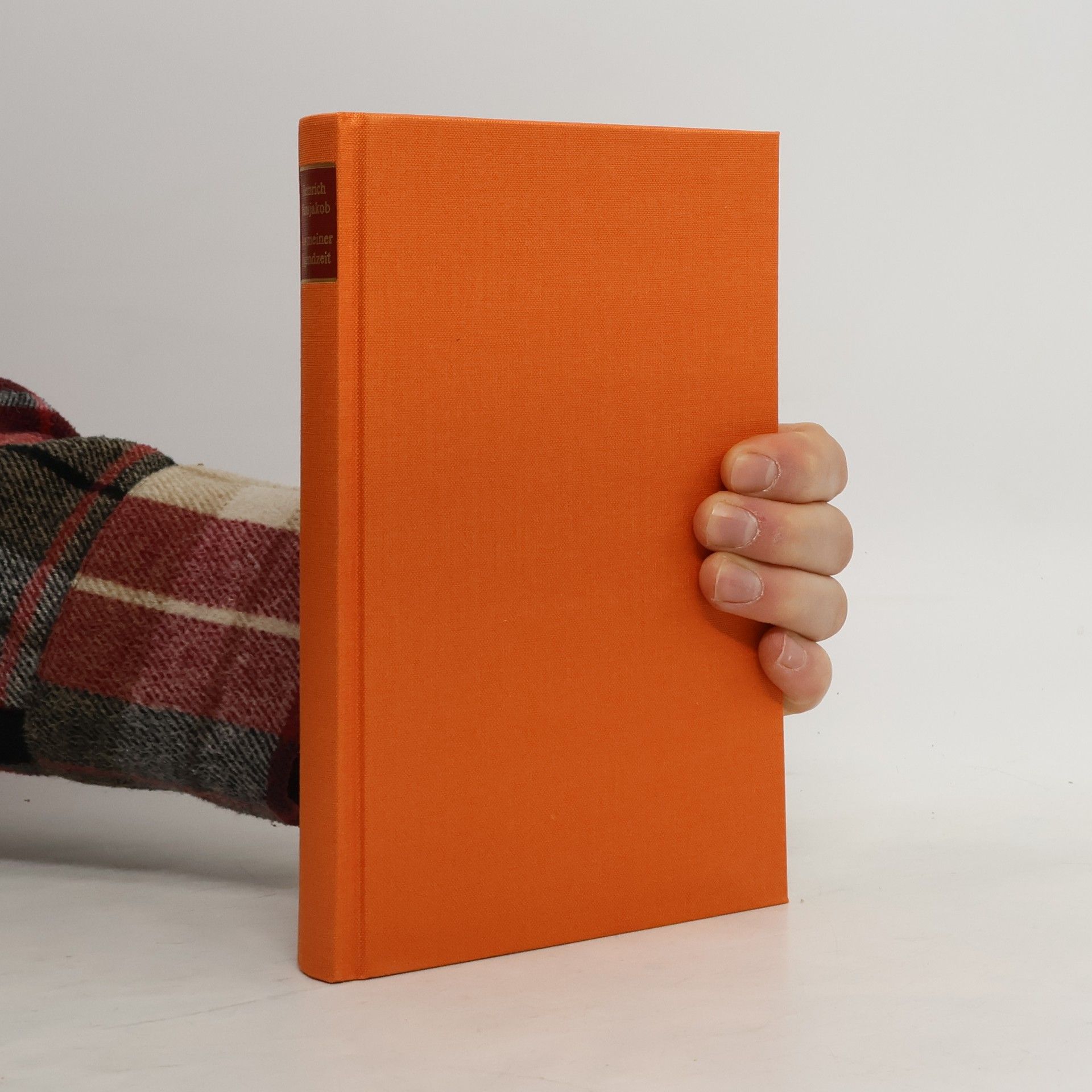 Heinrich Hansjakob Aus meiner Jugendzeit