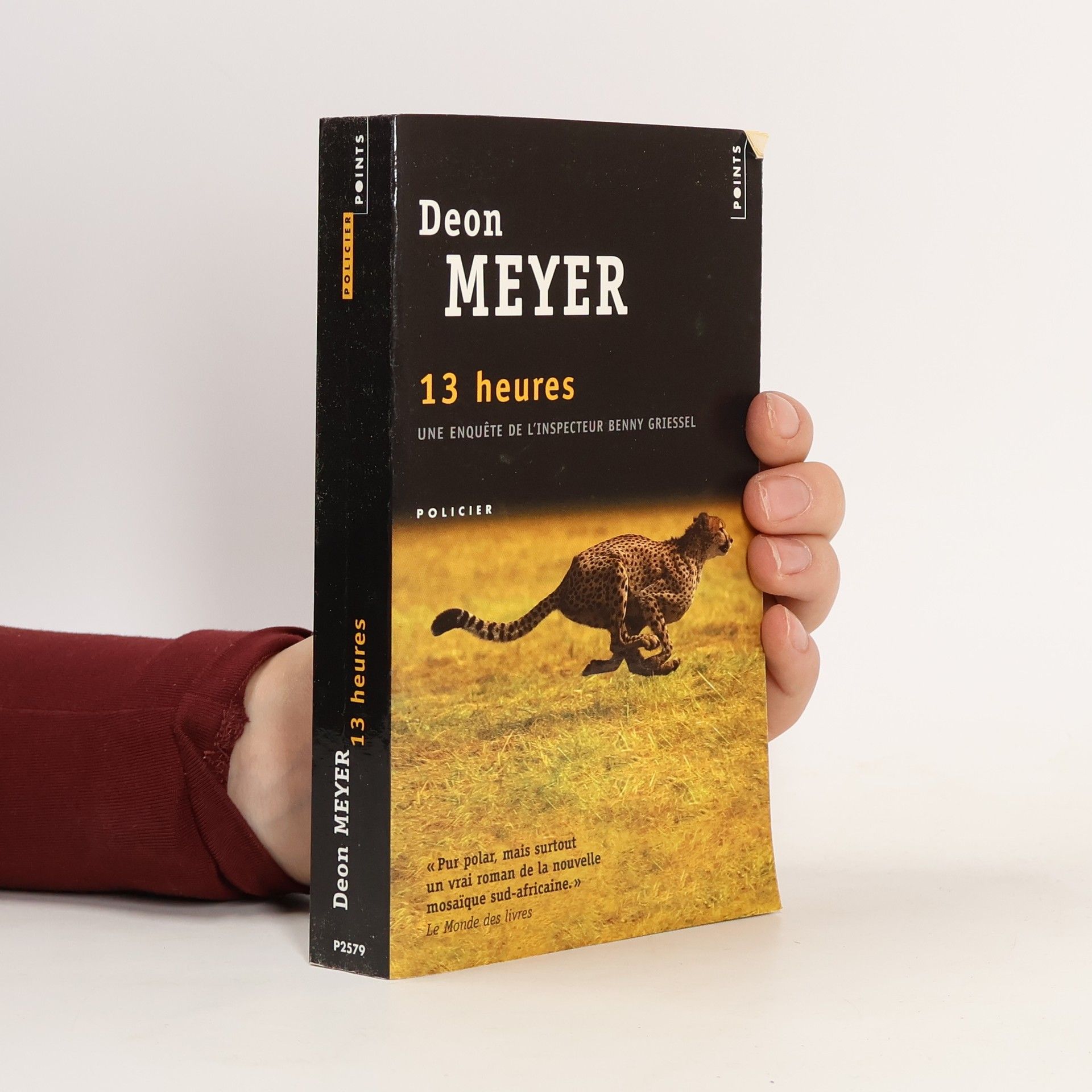Deon Meyer 13 heures