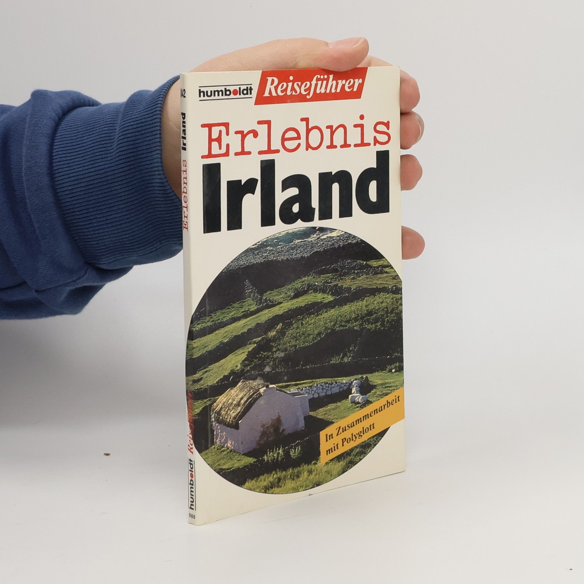 Brigid Avison Erlebnis Irland