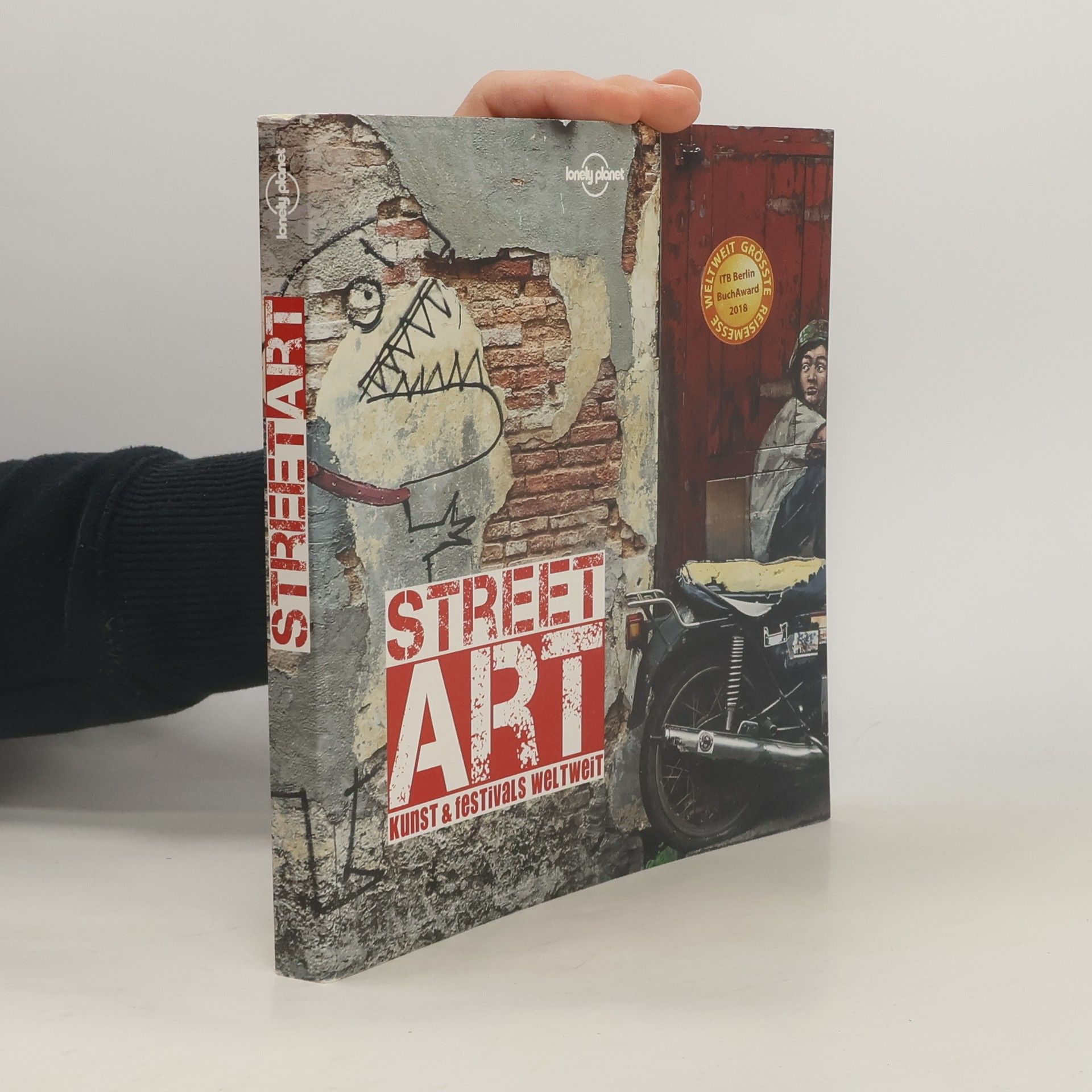 Dorothea Spottke Lonely Planet Bildband Street Art