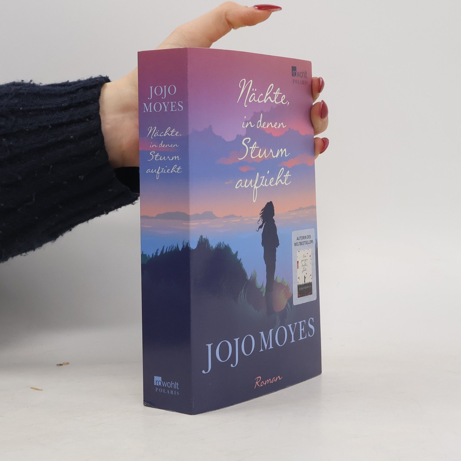 Jojo Moyes Nächte in denen Sturm aufzieht