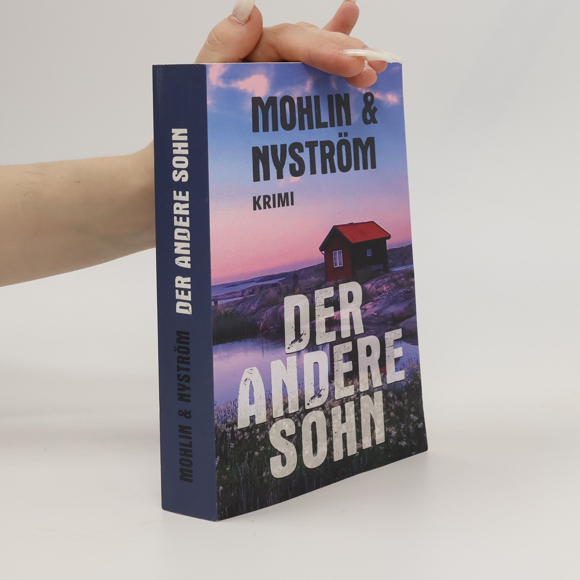 Peter Mohlin Der andere Sohn