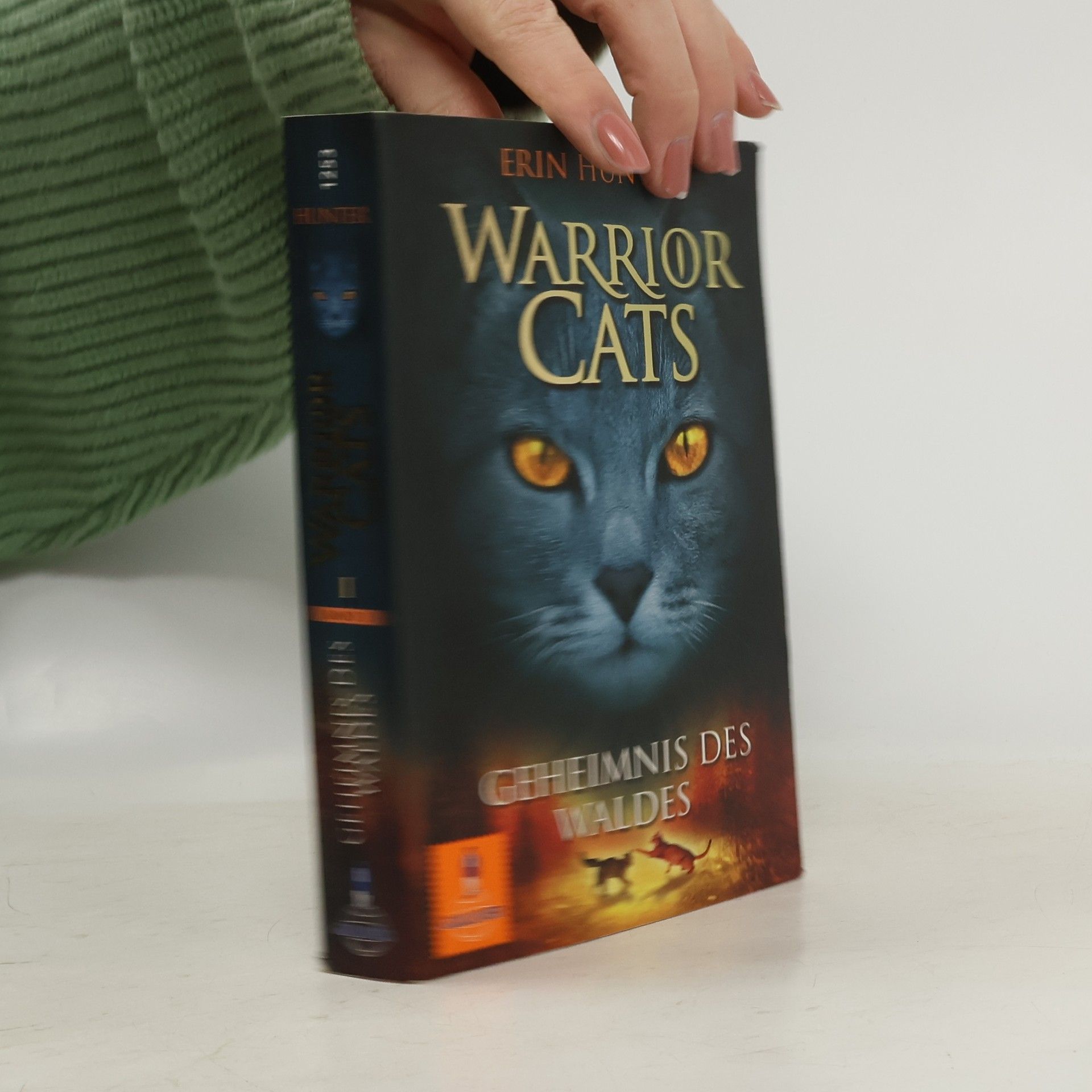 Erin Hunter Warrior Cats. Geheimnis des Waldes