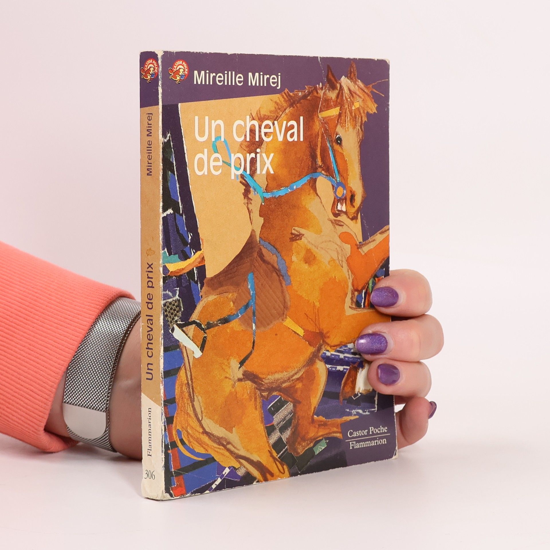 Mireille Mirej  Un cheval de prix