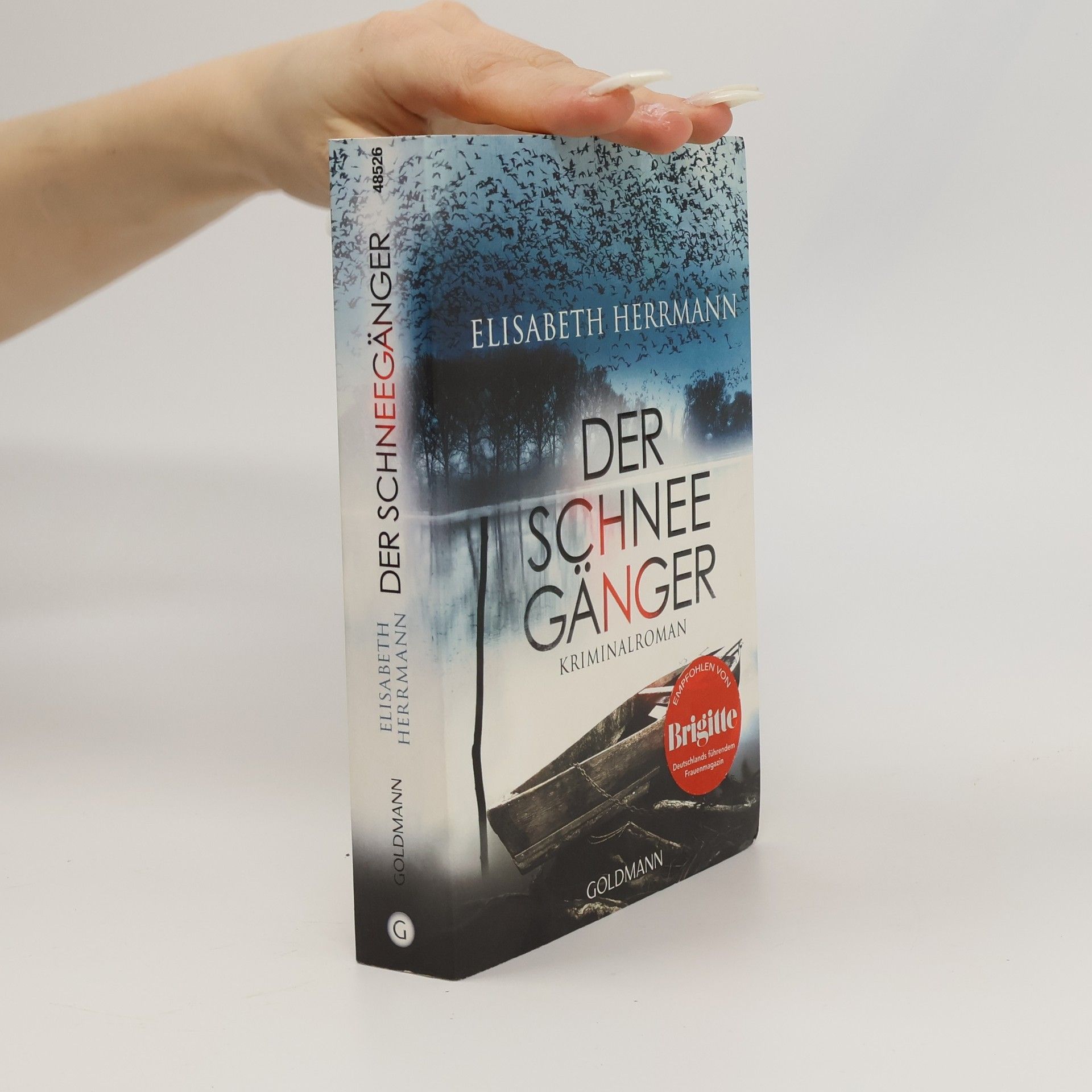 Elisabeth Hermann Der Schneegänger