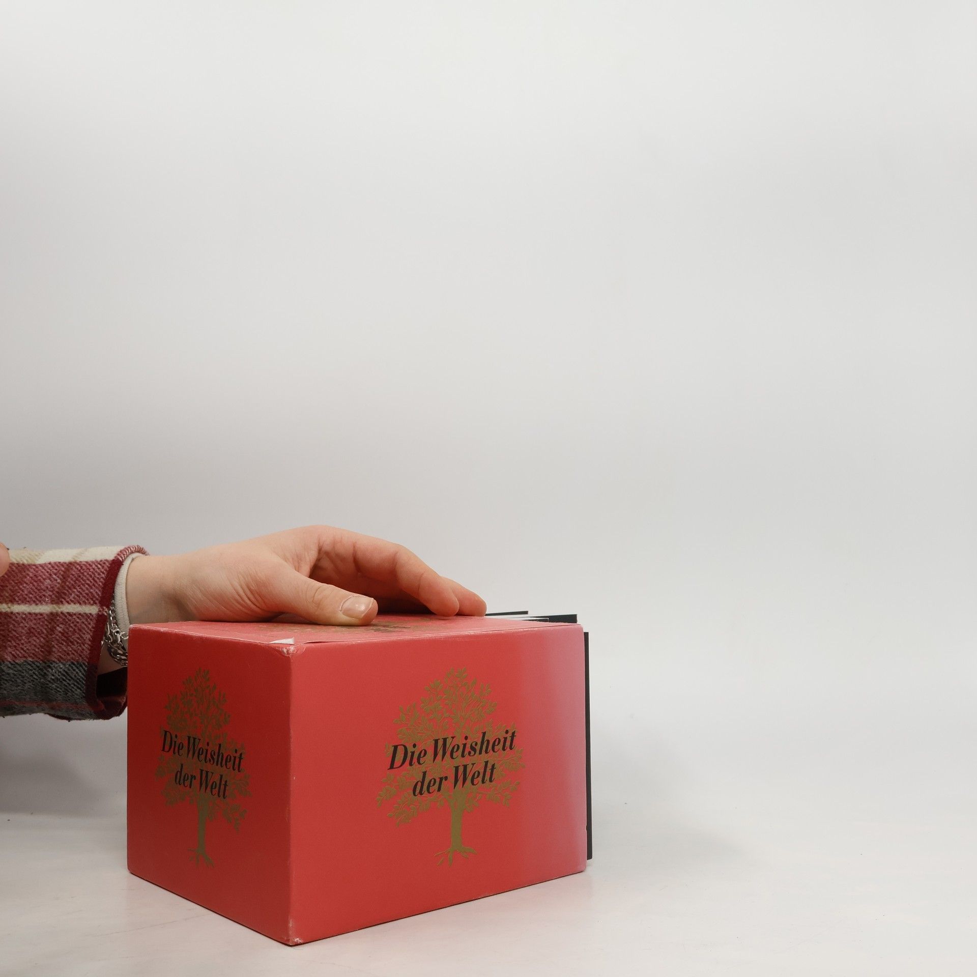 Olivier Fölmi Die Weisheit der Welt