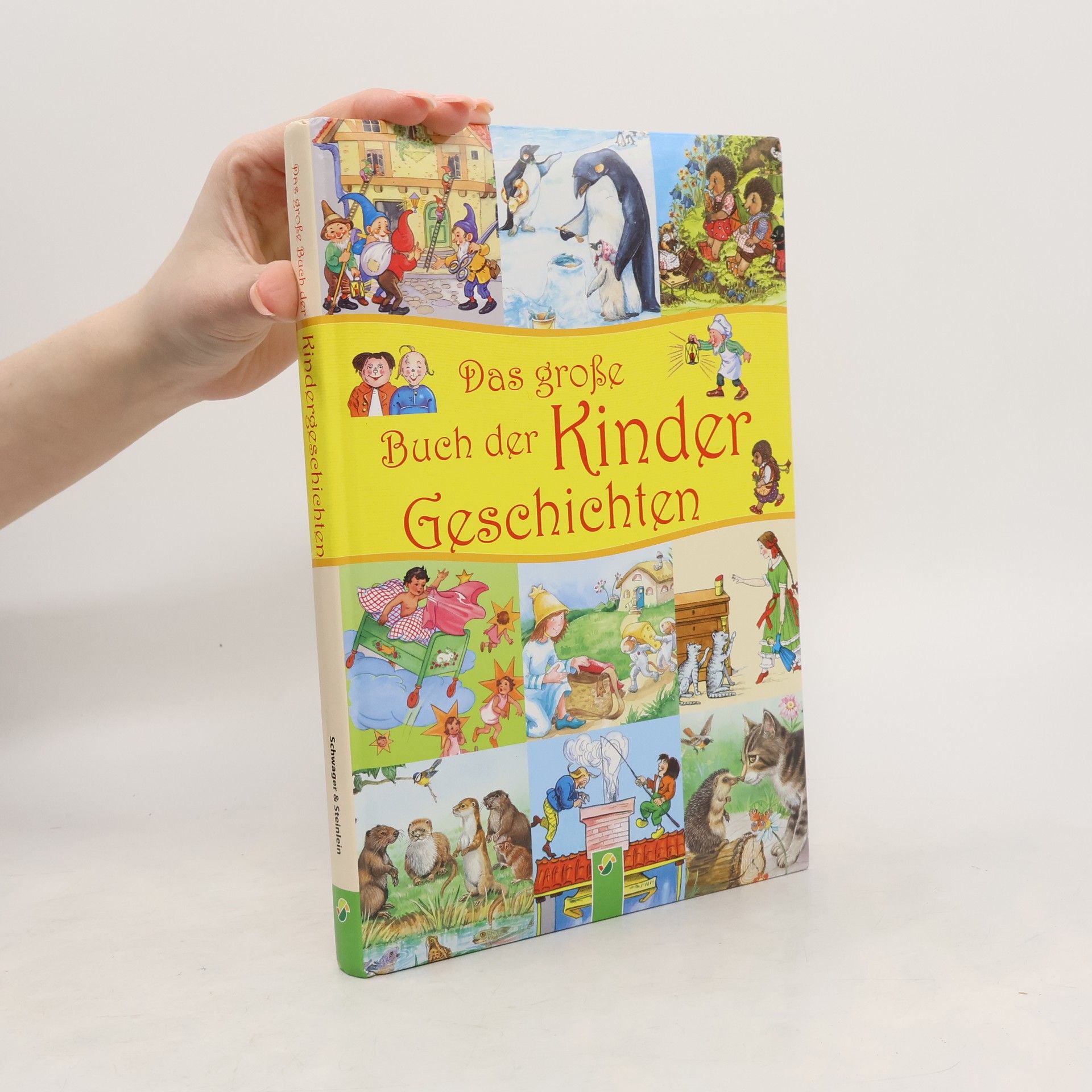 Autores varios Das große Buch der Kindergeschichten