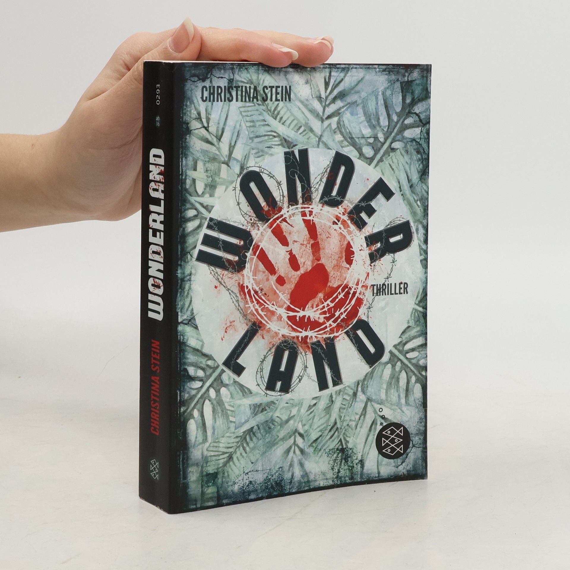 Christina Stein Wonderland