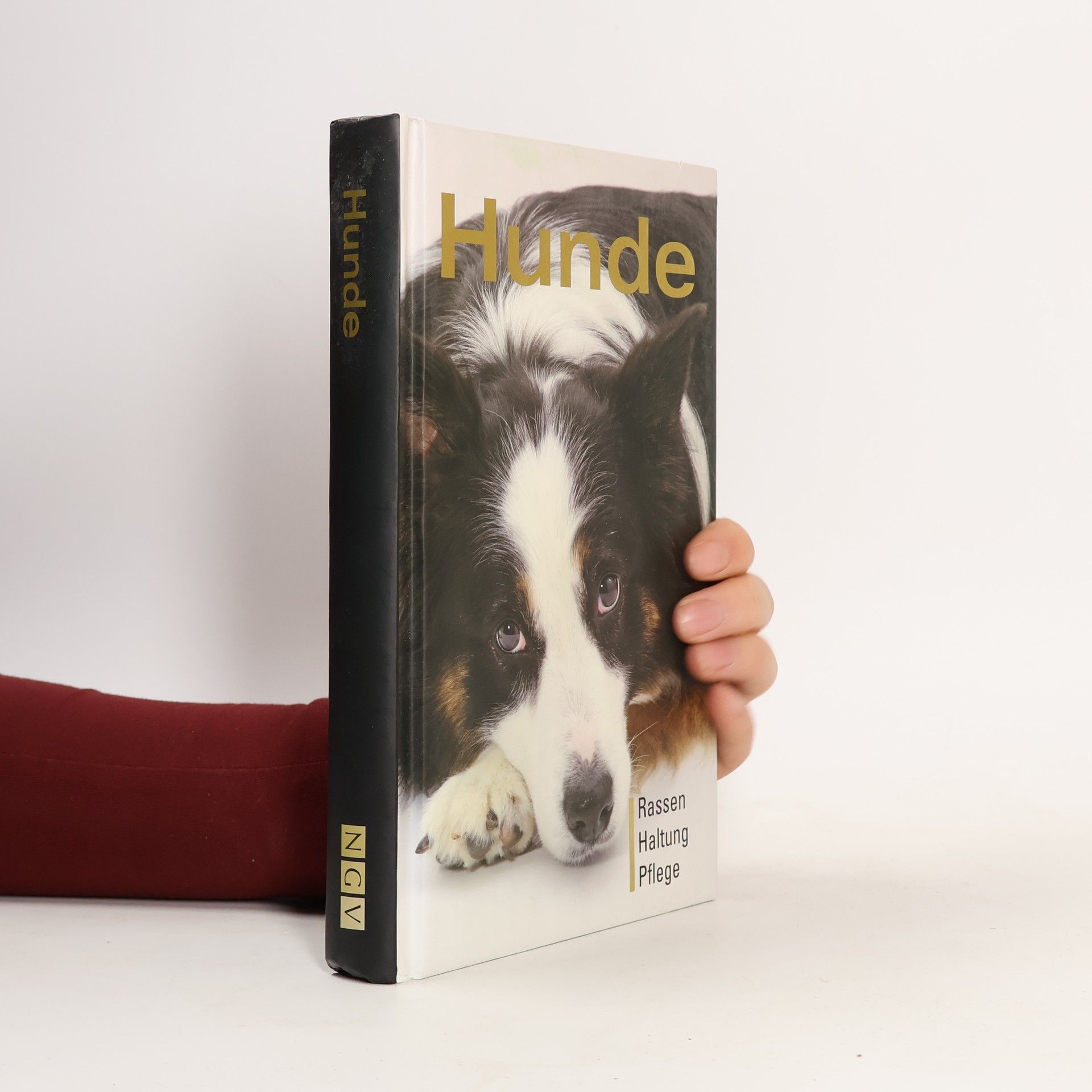 Autorenkollektiv Hunde