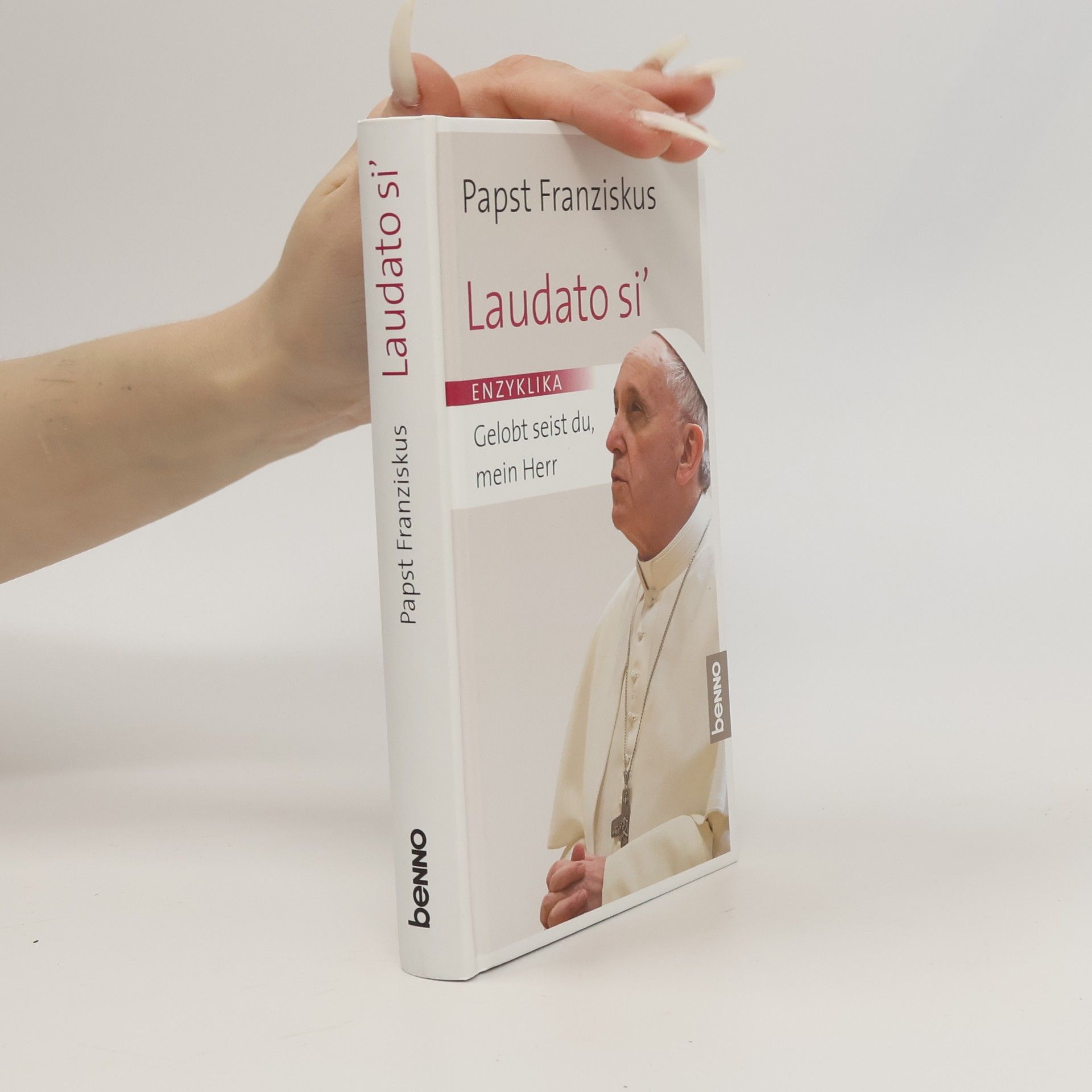 Papst Franziskus Laudato si' : Gelobt seist du, mein Herr