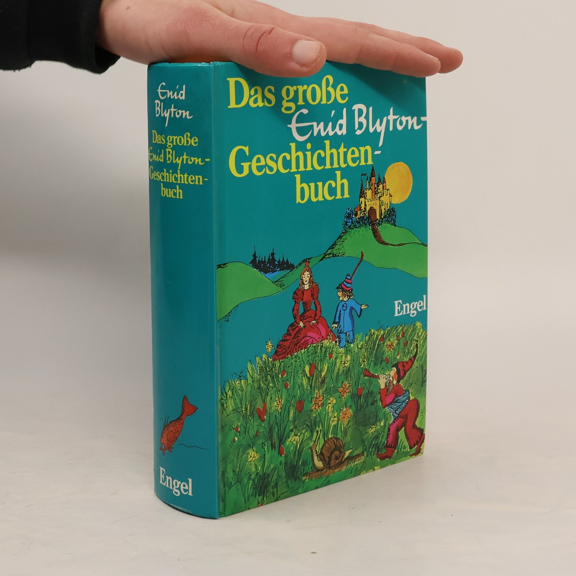 Enid Blyton Das große Enid Blyton-Geschichtenbuch