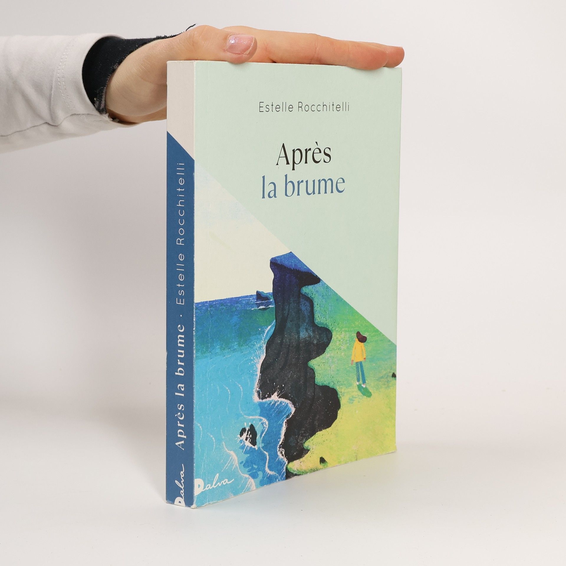 Estelle Rocchitelli Après la brume