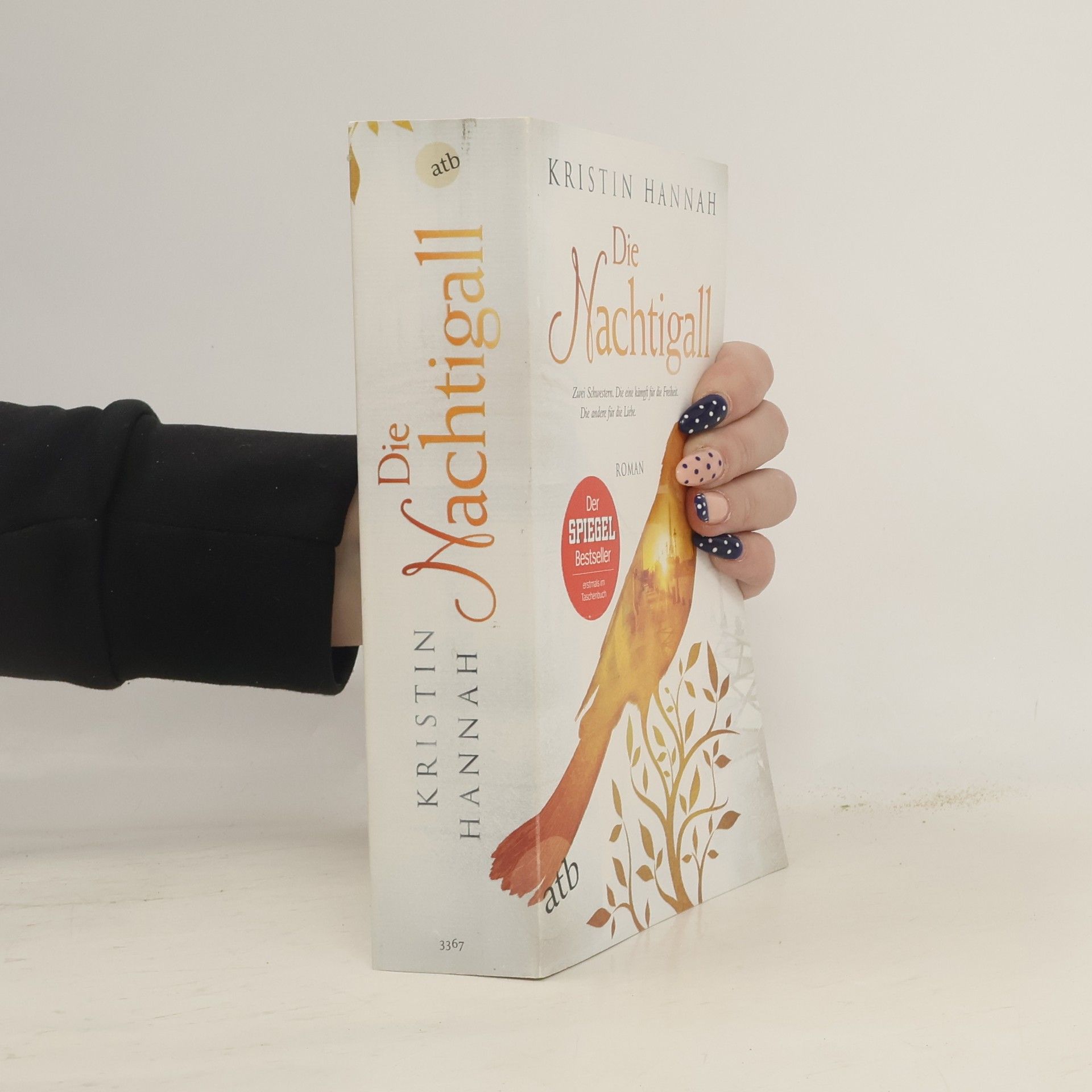 Kristin Hannah Die Nachtigall