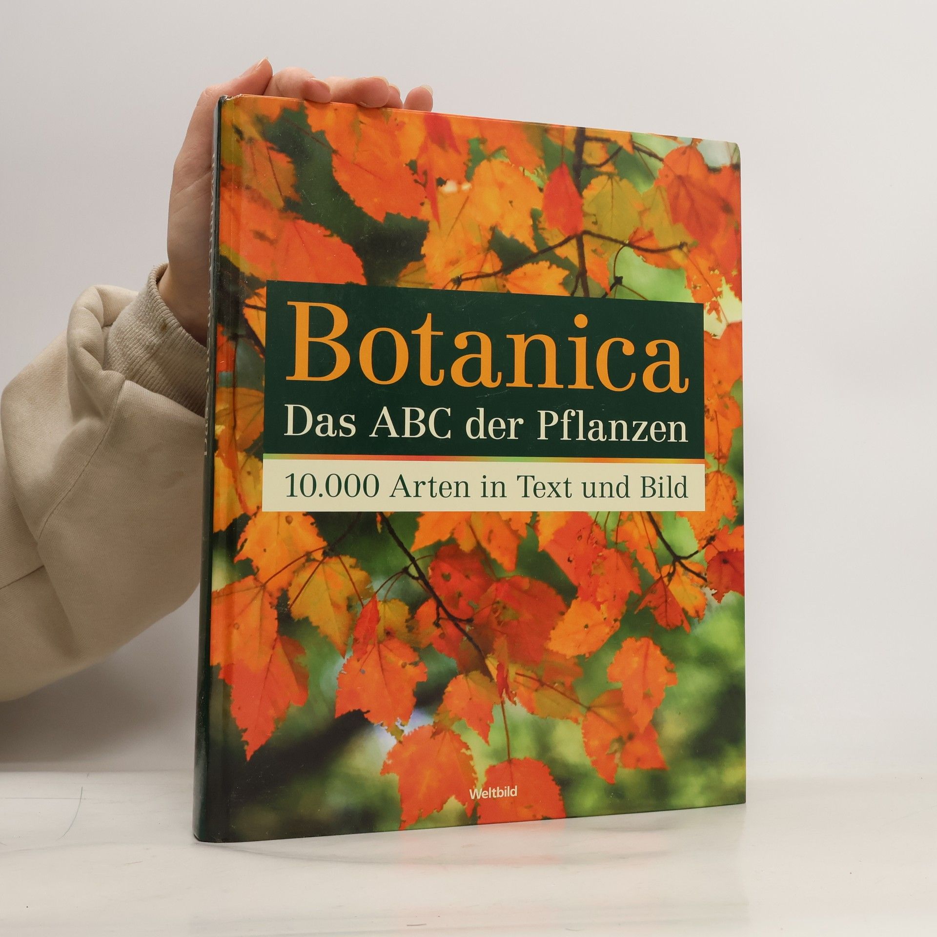 Geoff Burnie Botanica