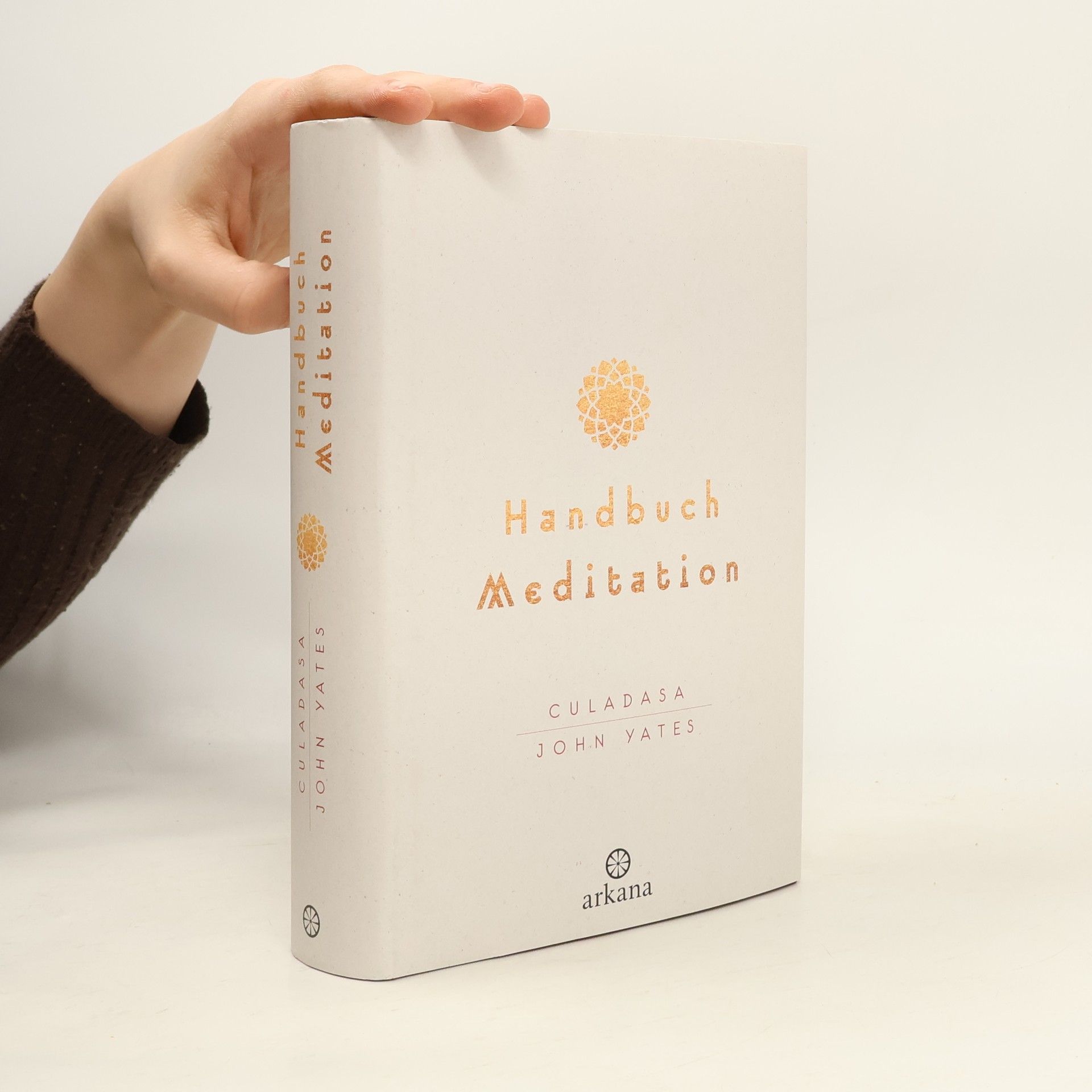 Culadasa John Yates Handbuch Meditation