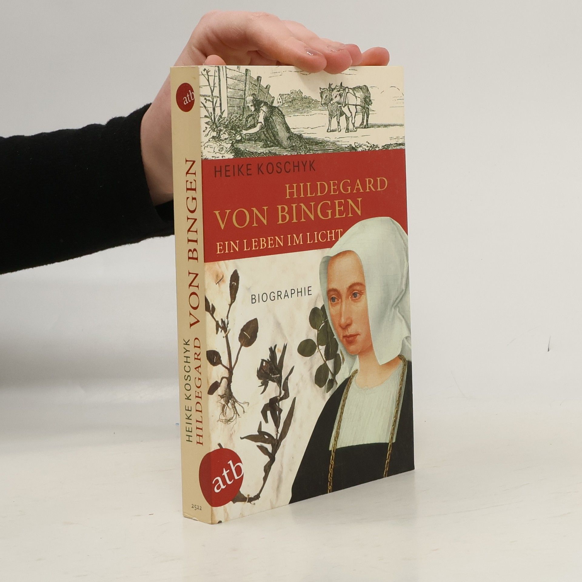 Heike Koschyk Hildegard von Bingen, Ein Leben im Licht