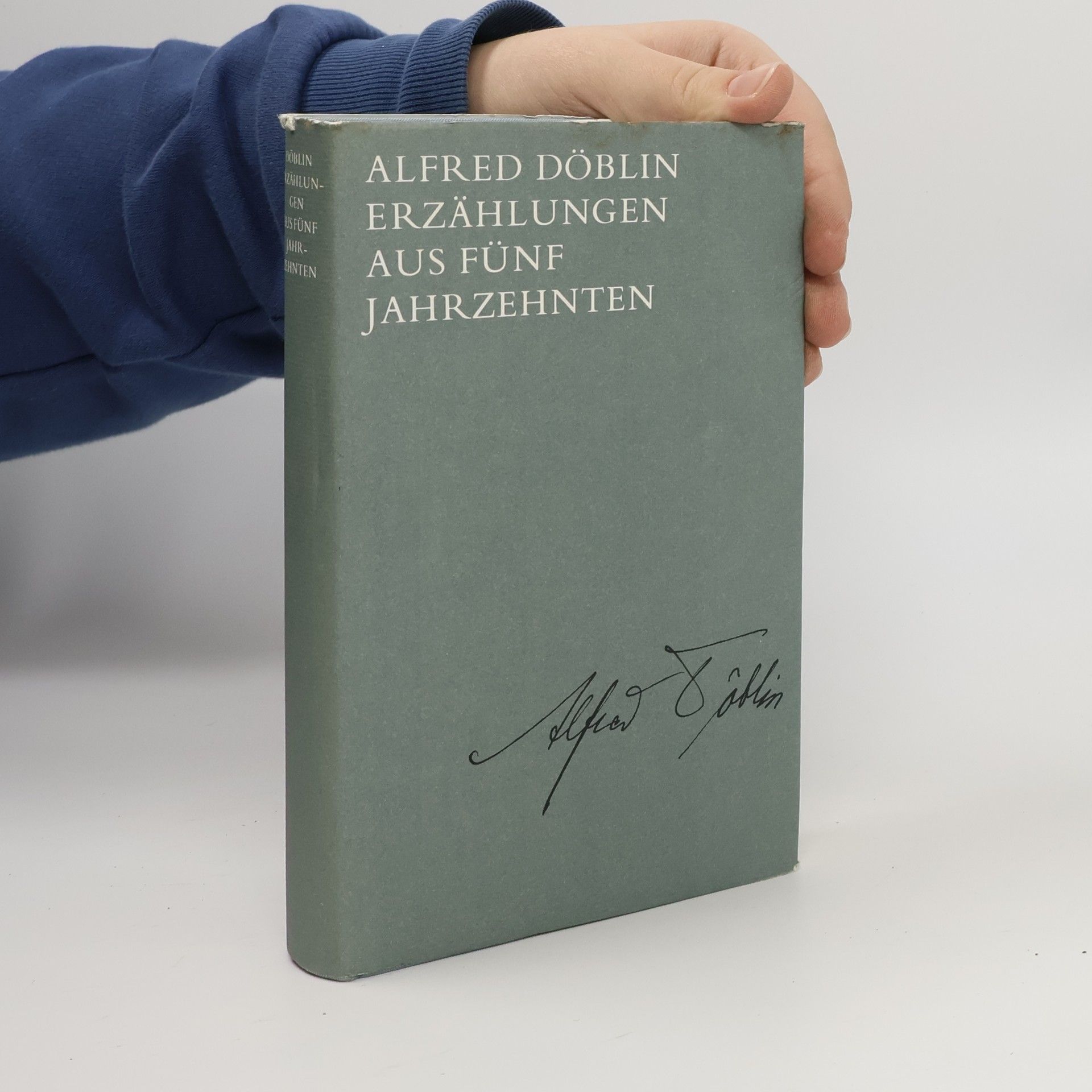 Alfred Döblin Erzählungen aus fünf Jahrzehnten