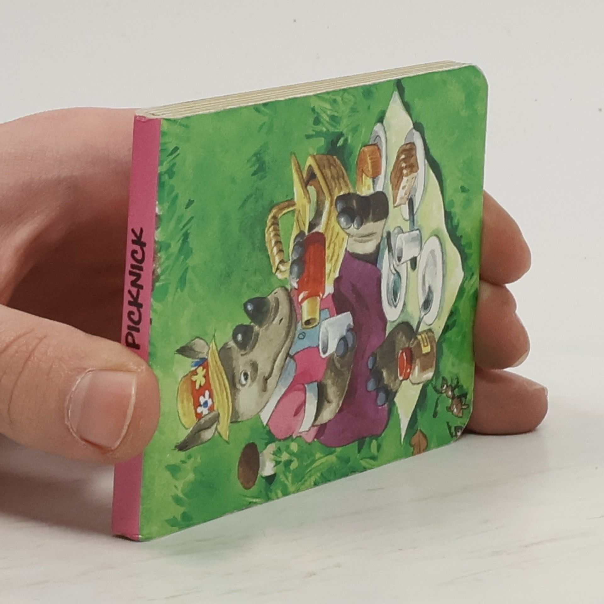 kolektiv Das Picknick