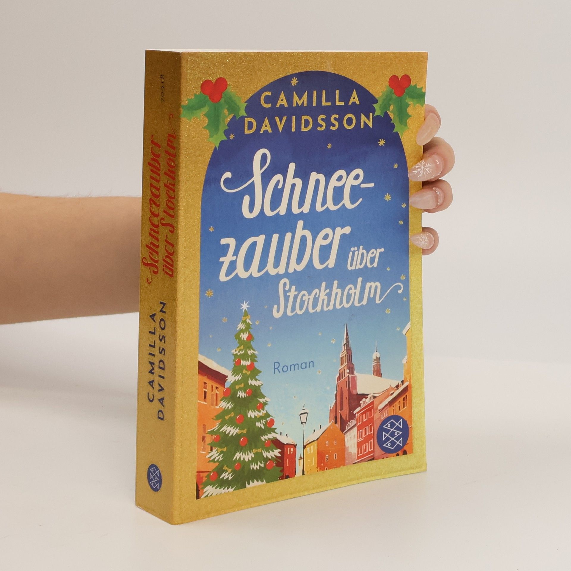 Camilla Davidsson Schneezauber über Stockholm