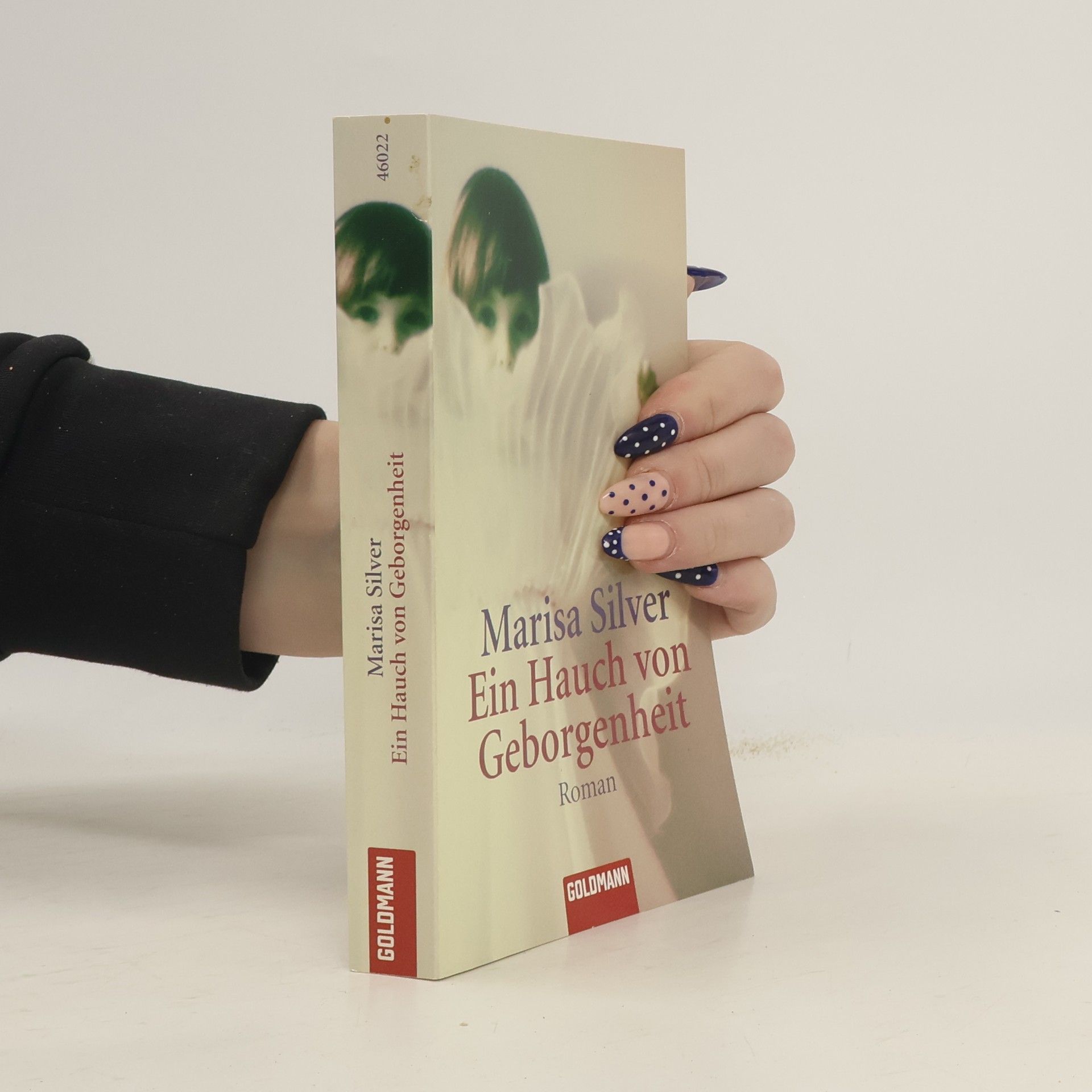 Marisa Silver Ein Hauch von Geborgenheit. Roman