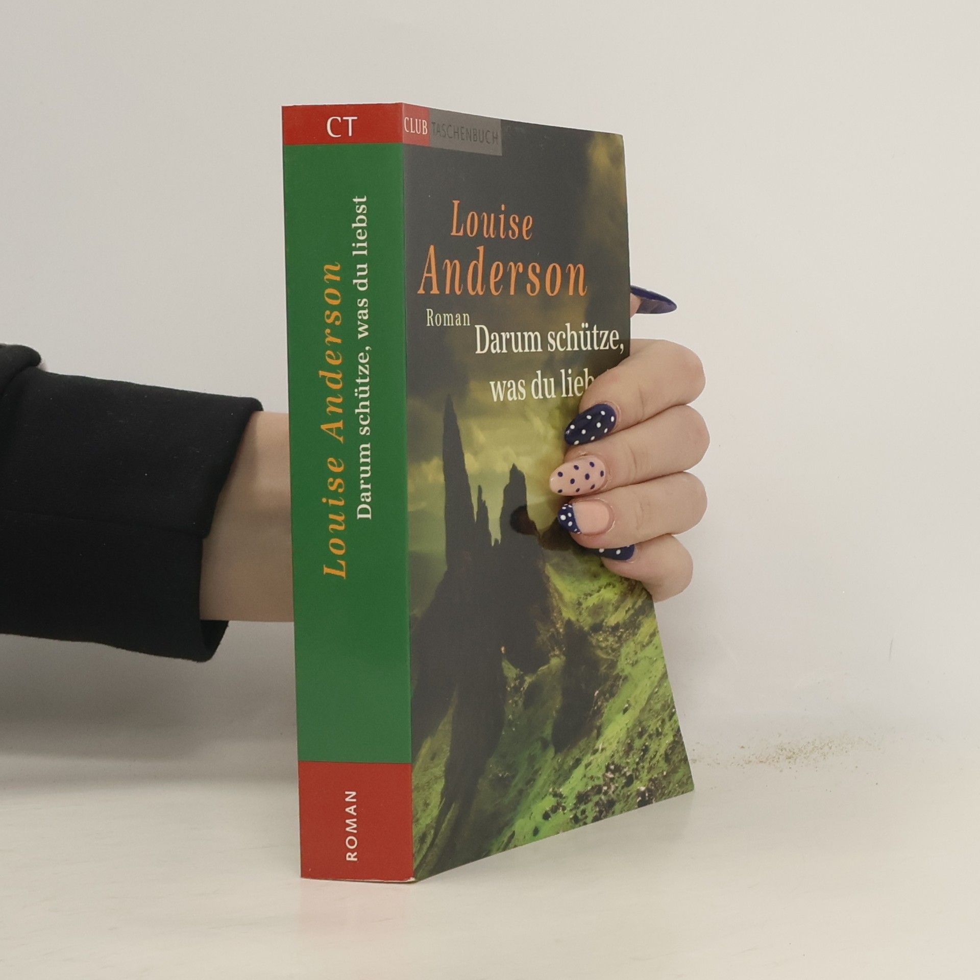 Louise Anderson Darum schütze, was du liebst