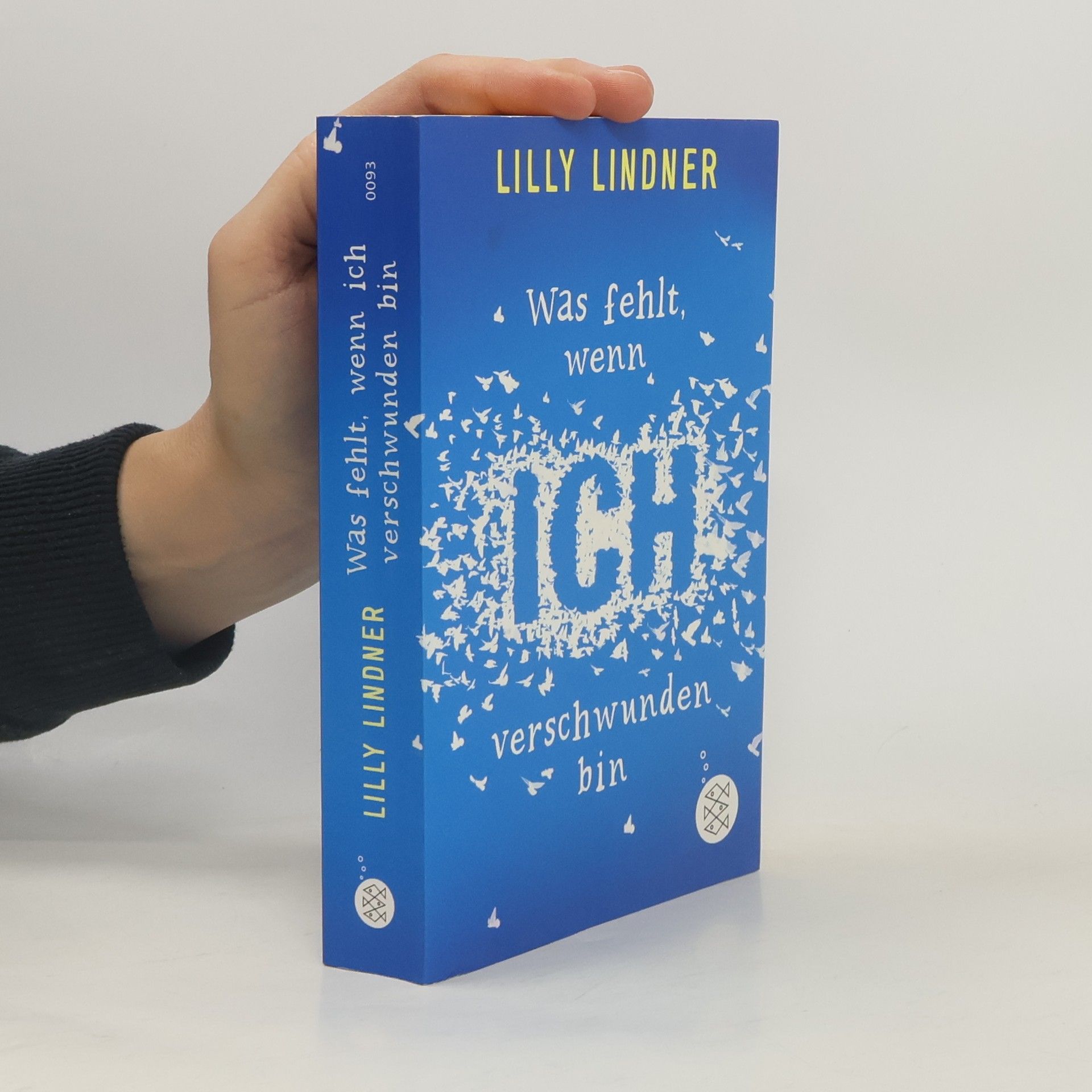 Lilly Lindner Was fehlt, wenn ich verschwunden bin