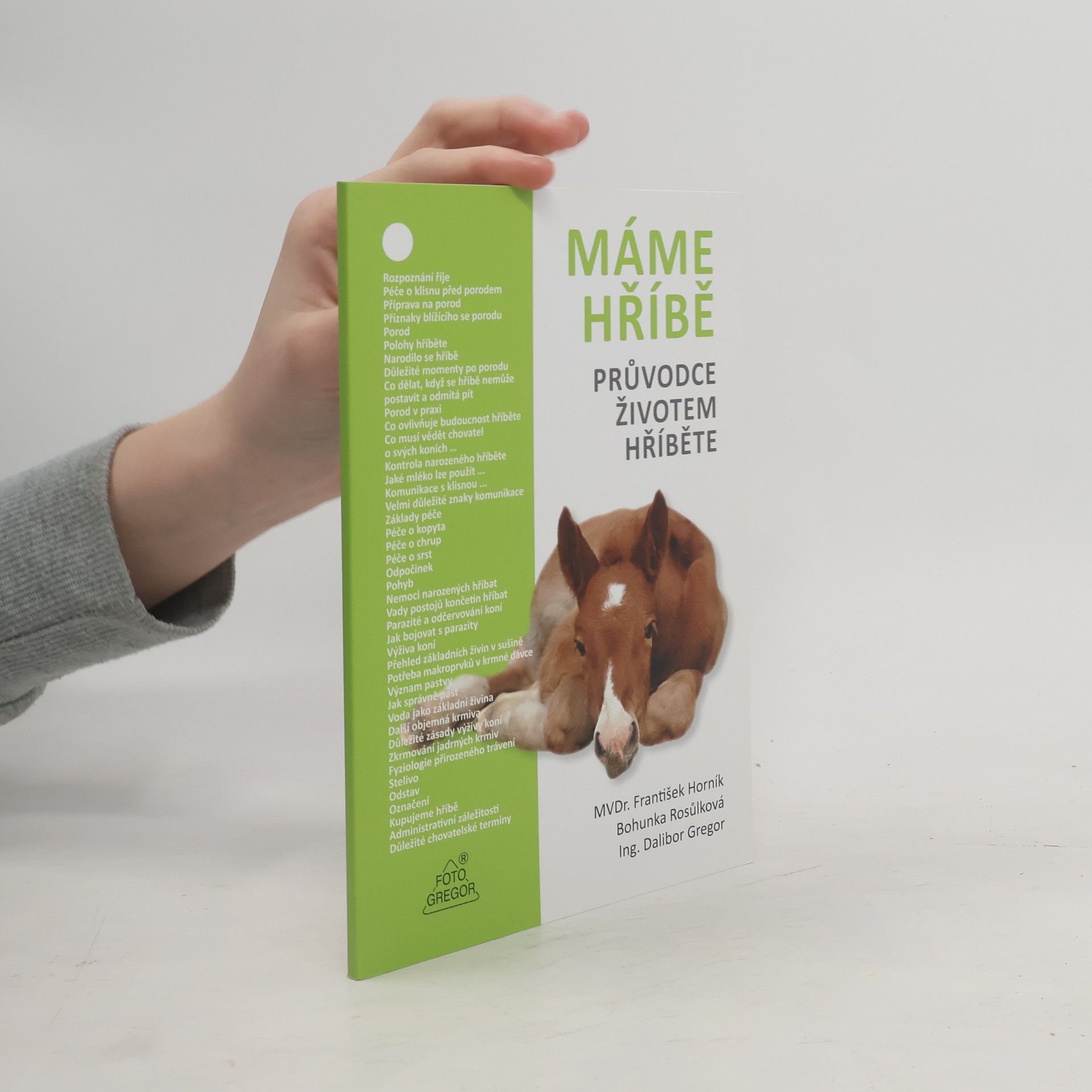 Dalibor Gregor Máme hříbě