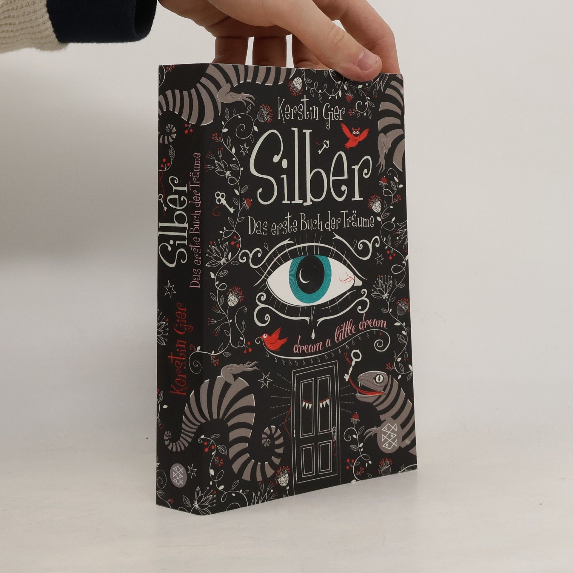 Kerstin Gier Silber. Das erste Buch der Träume