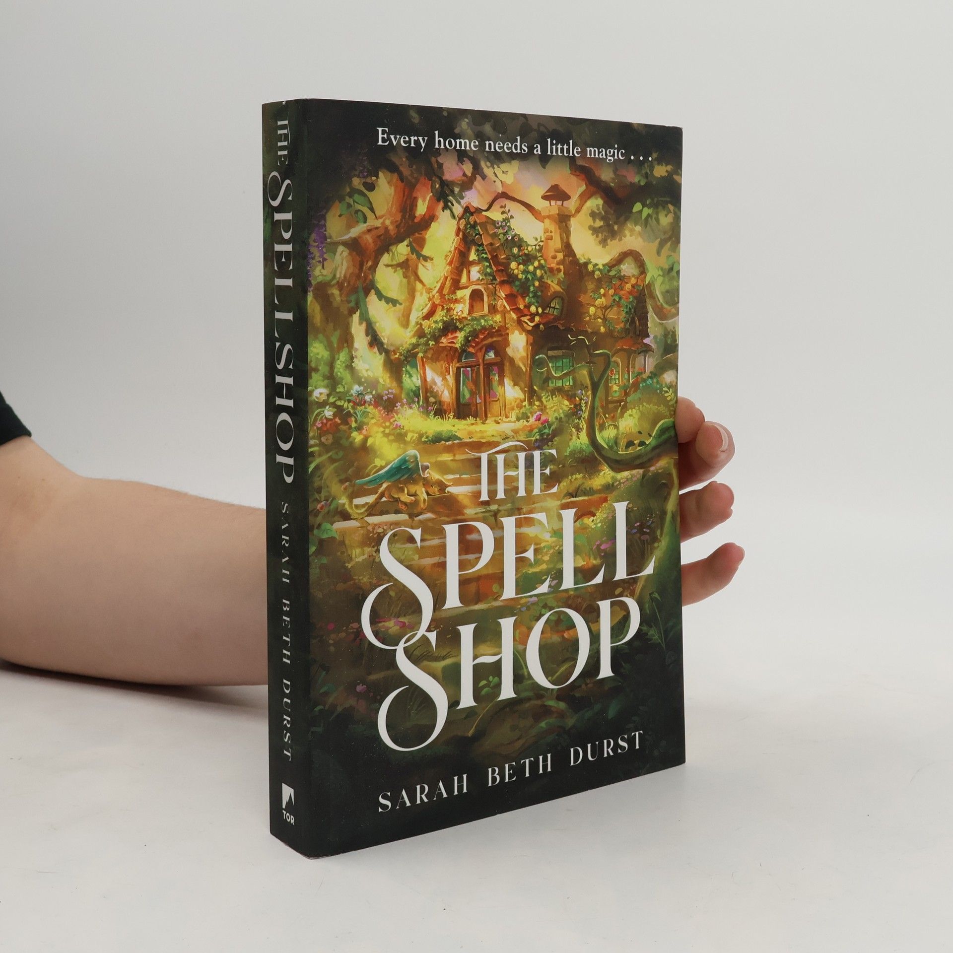 Sarah Beth Durst The Spellshop