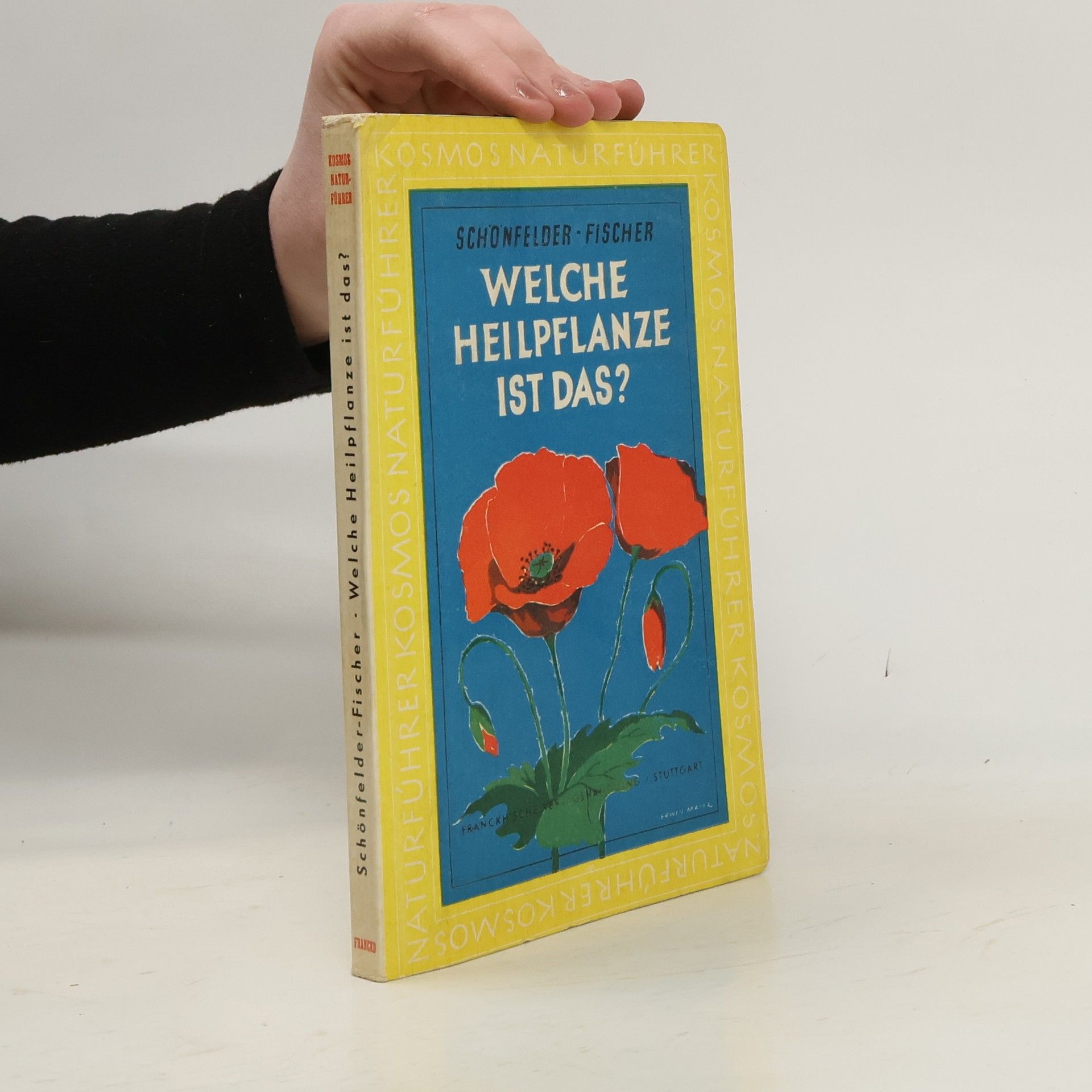 Autorenkollektiv Welche Heilpflanze ist das?