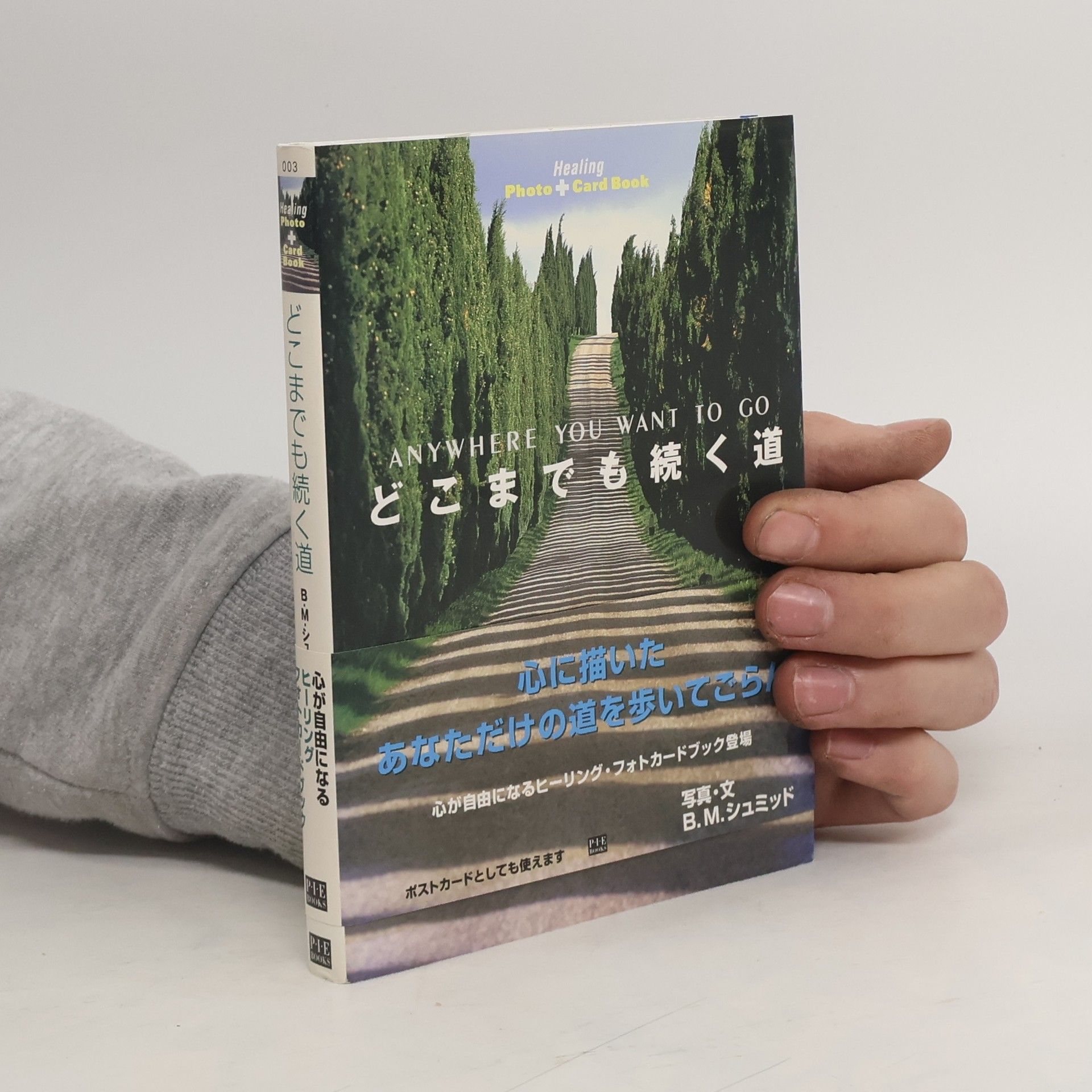 Anywhere You Want to Go