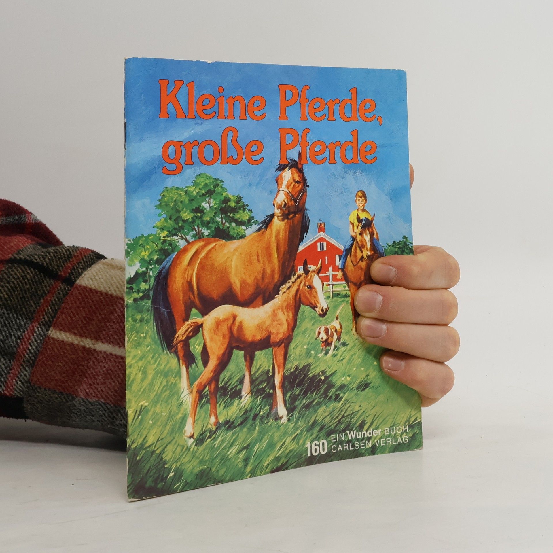 AA.VV. Kleine Pferde, große Pferde