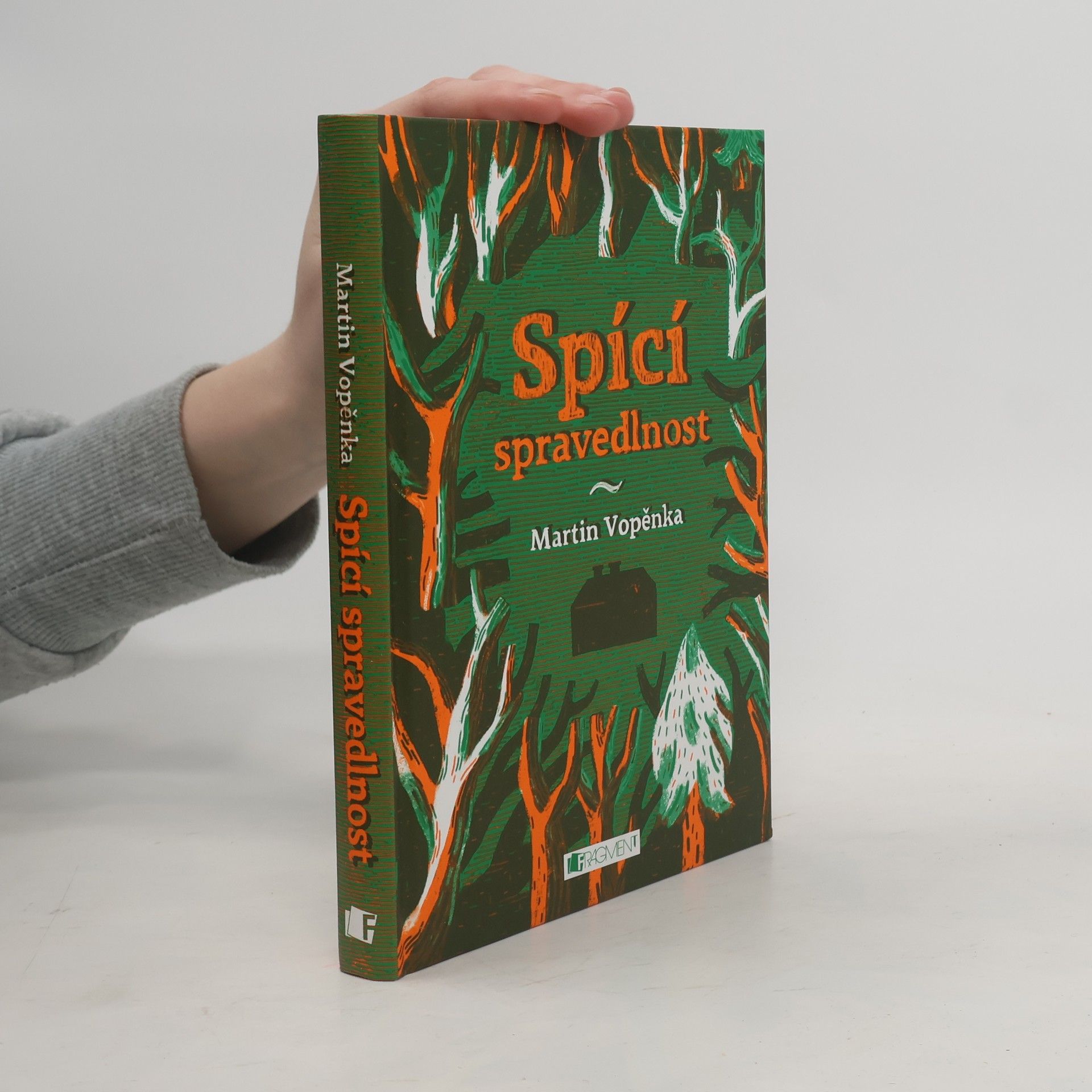 Martin Vopěnka Spící spravedlnost